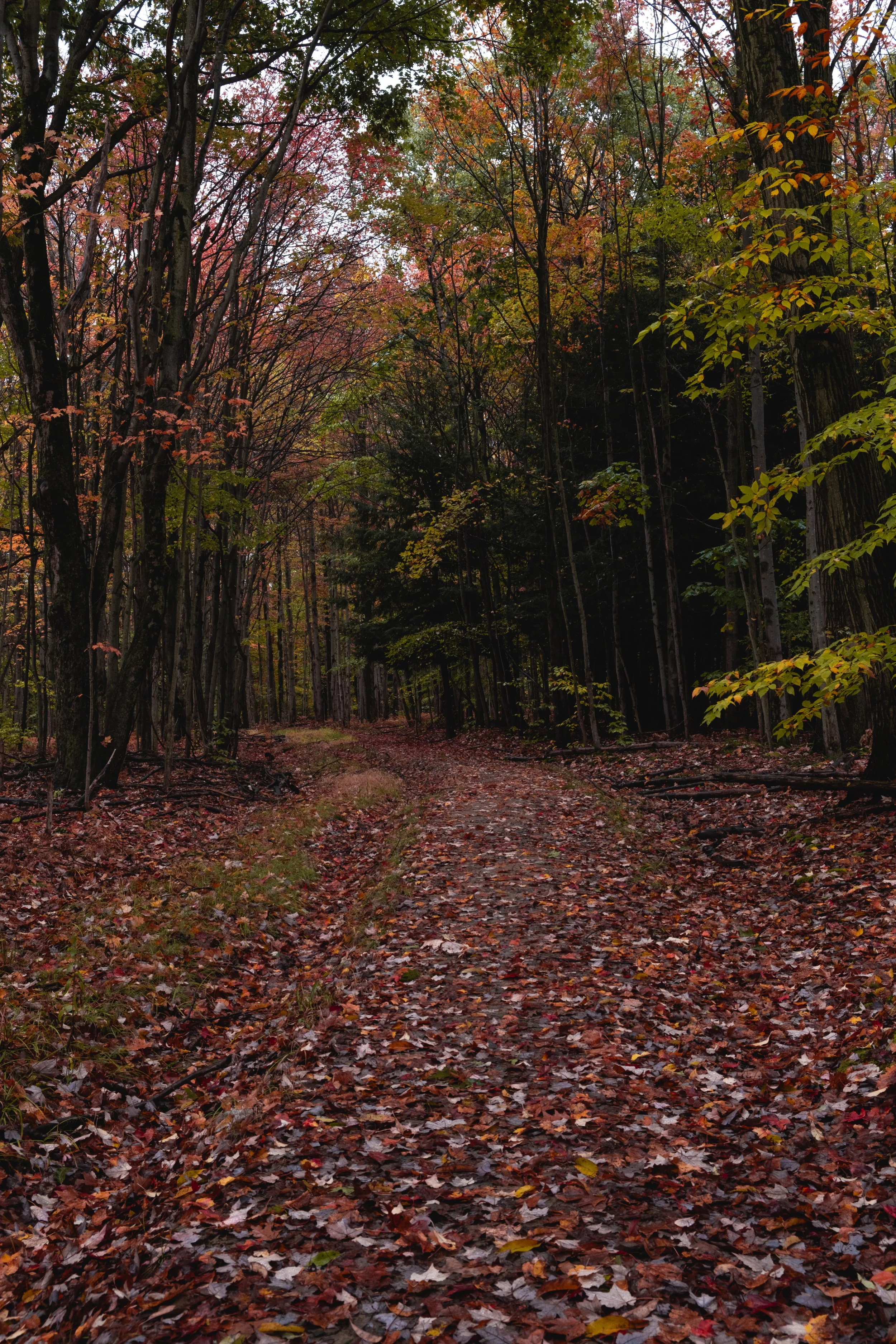 DSCF3469.jpg