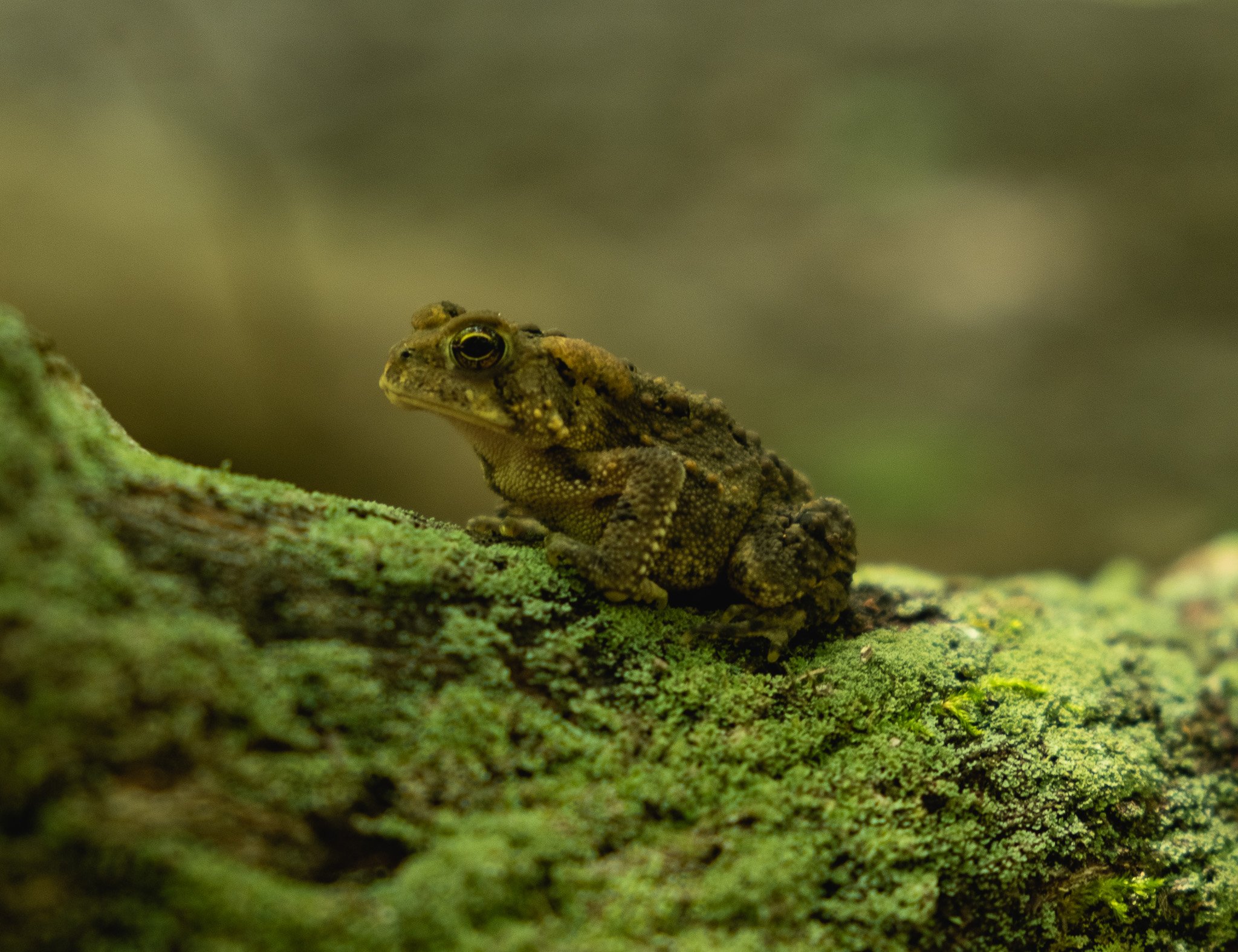 DSCF1048.jpg