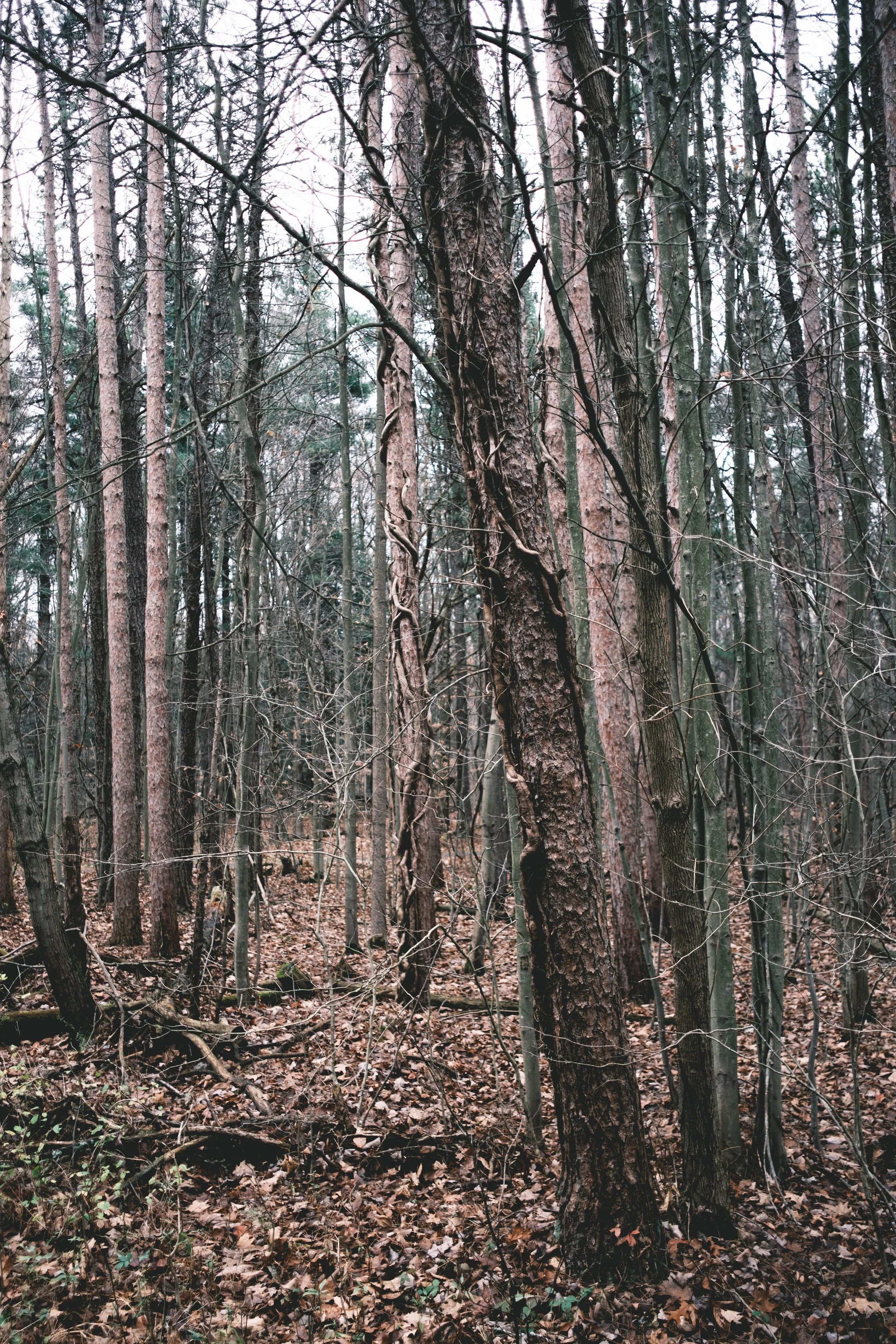 DSCF7703.jpg
