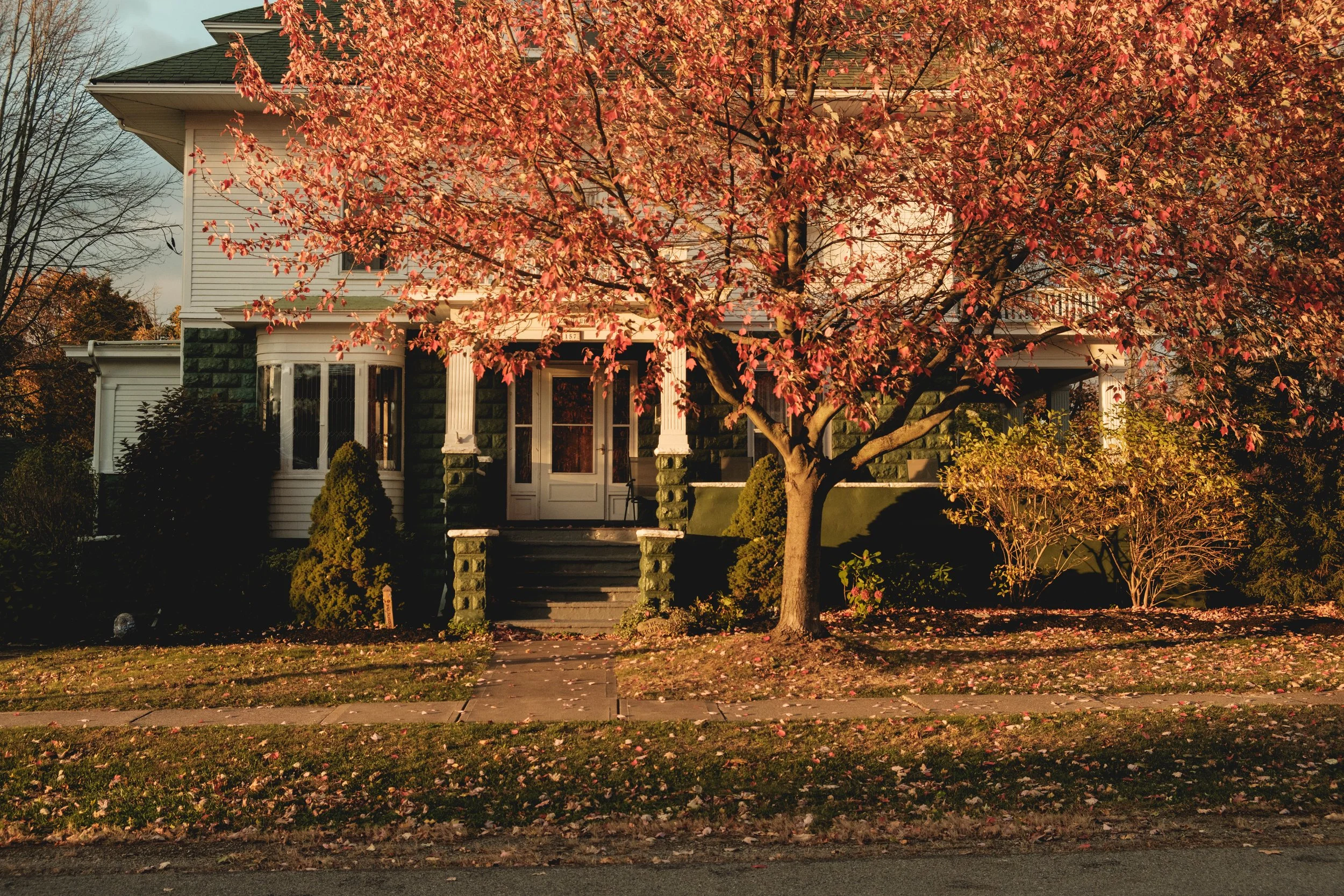 DSCF7483.jpg
