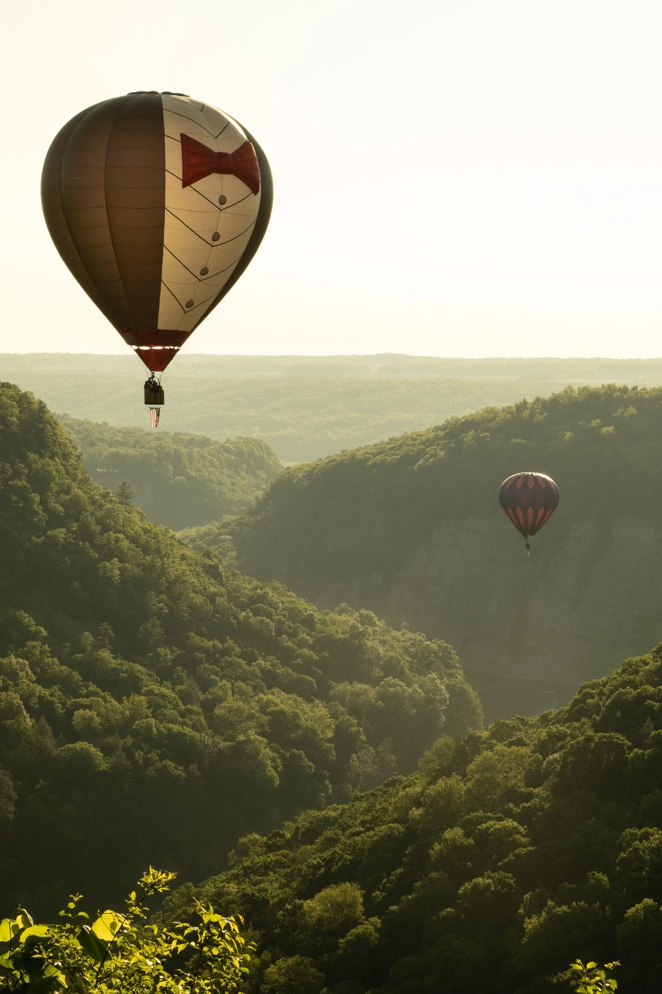 DSCF0790-2.jpg