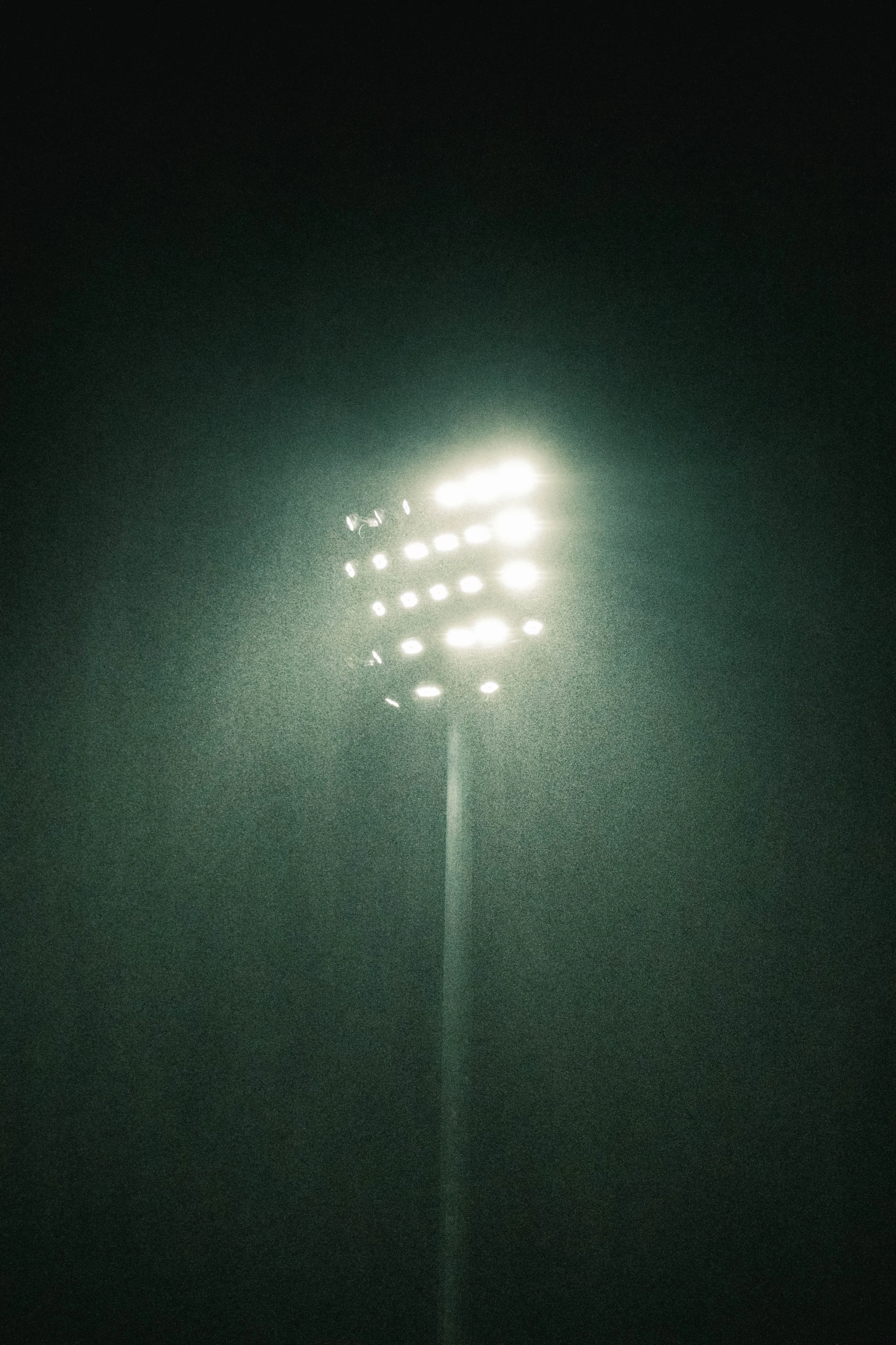 DSCF7379.jpg