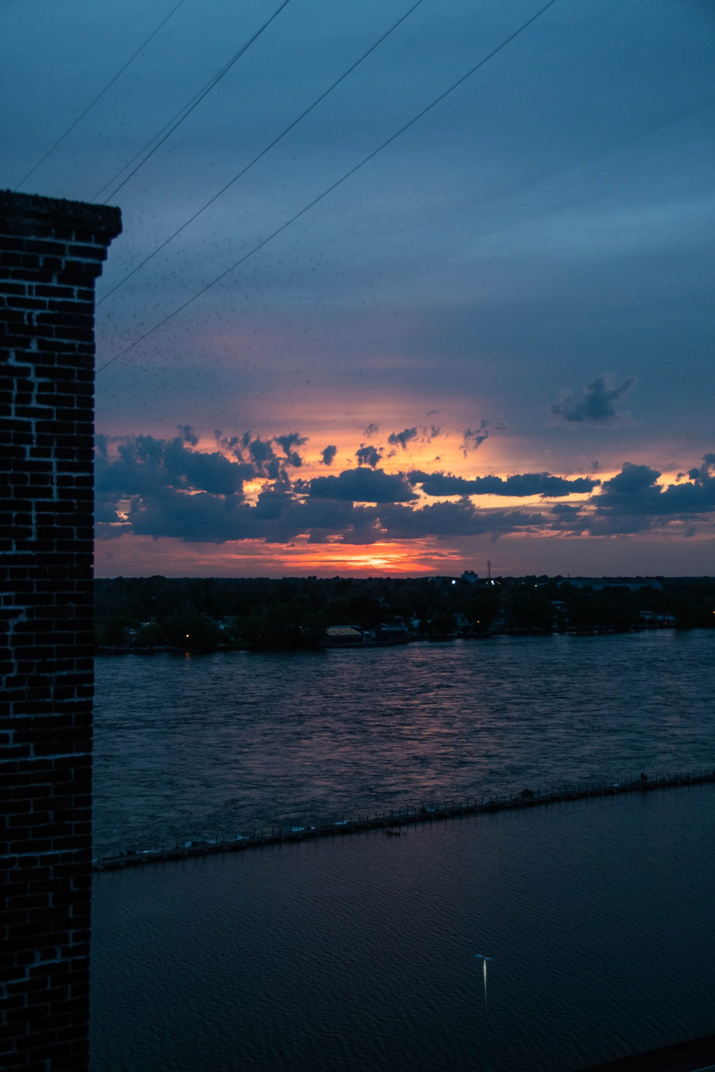 DSC_9395.jpg