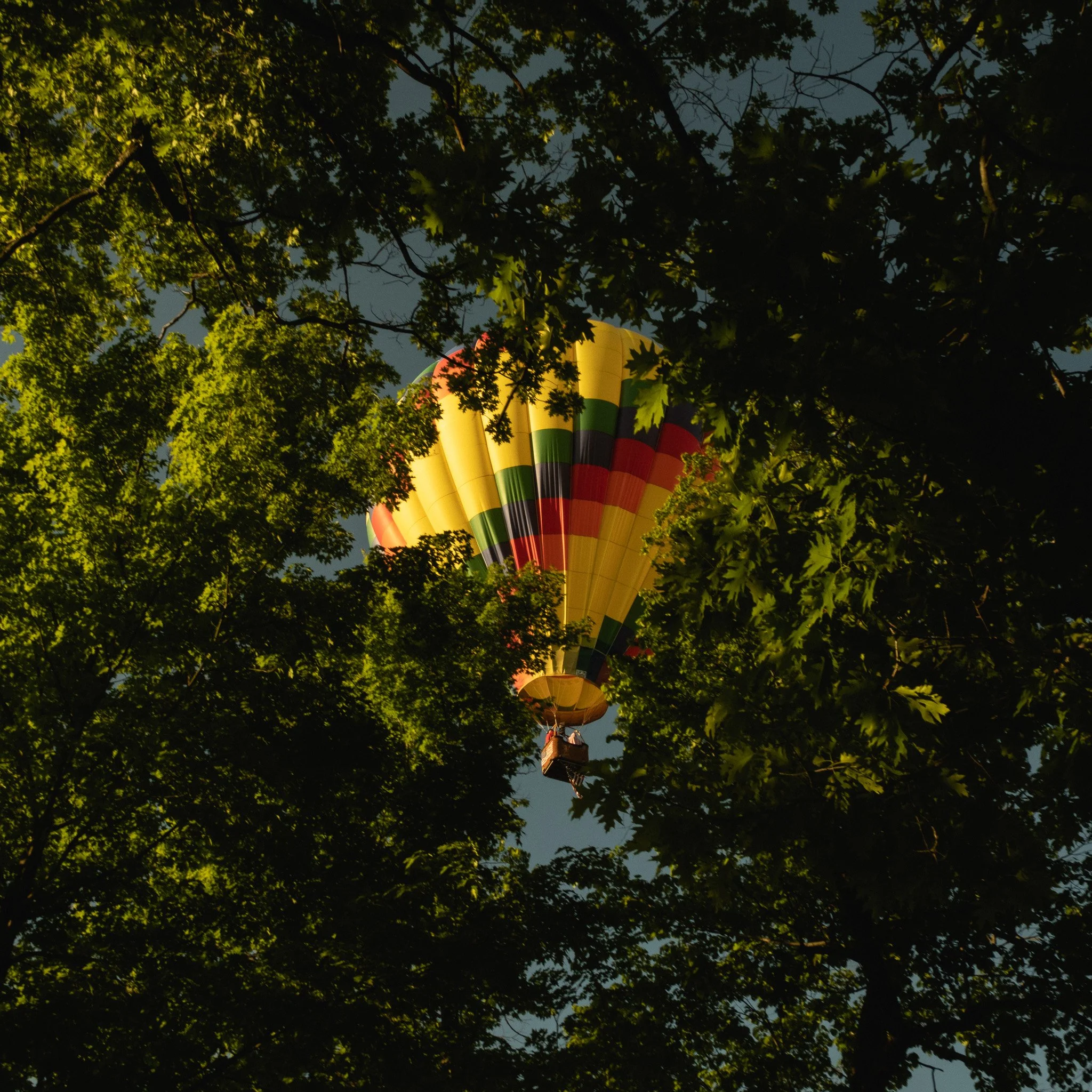 DSCF0763.jpg