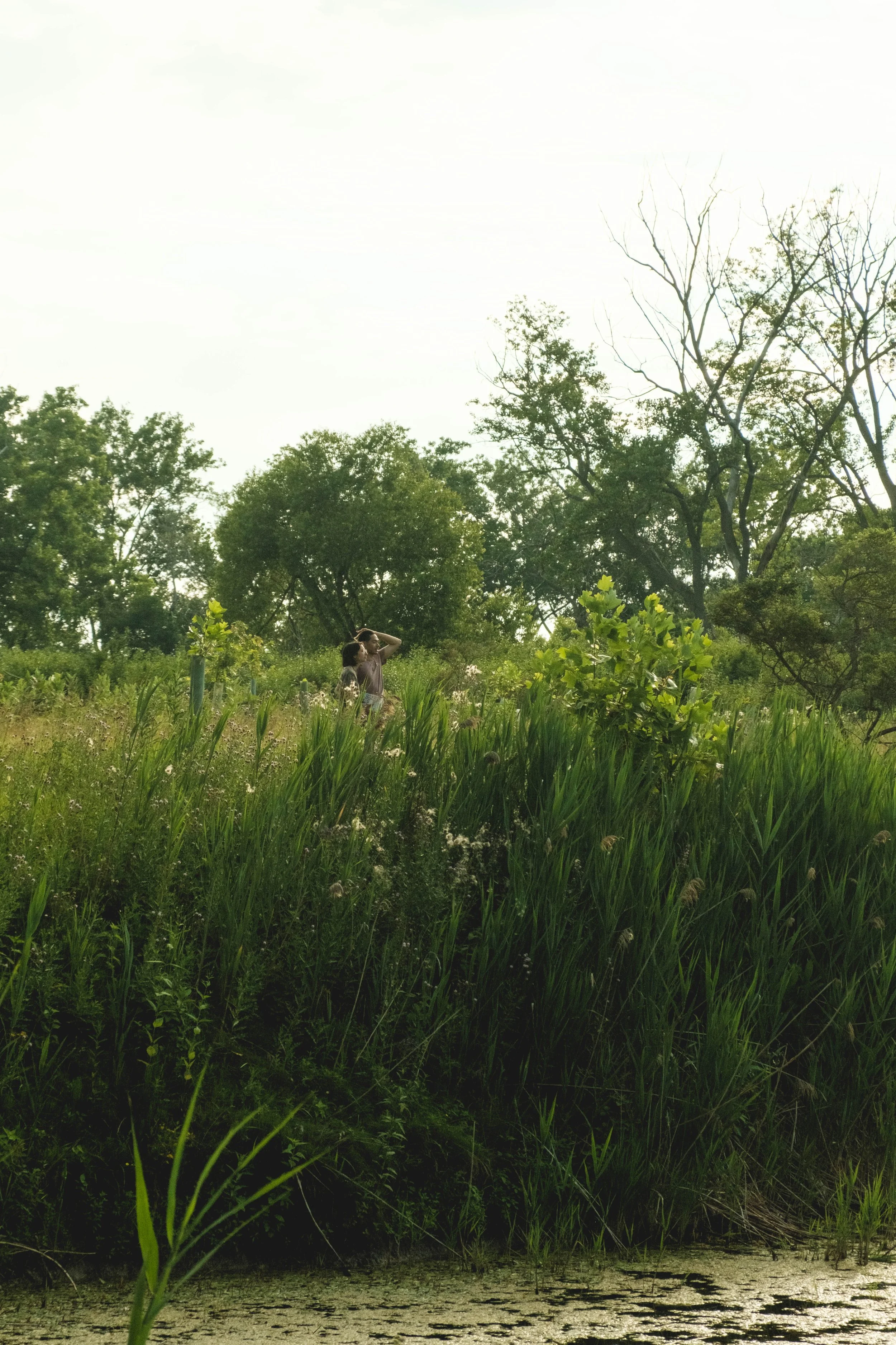 DSCF3187.jpg