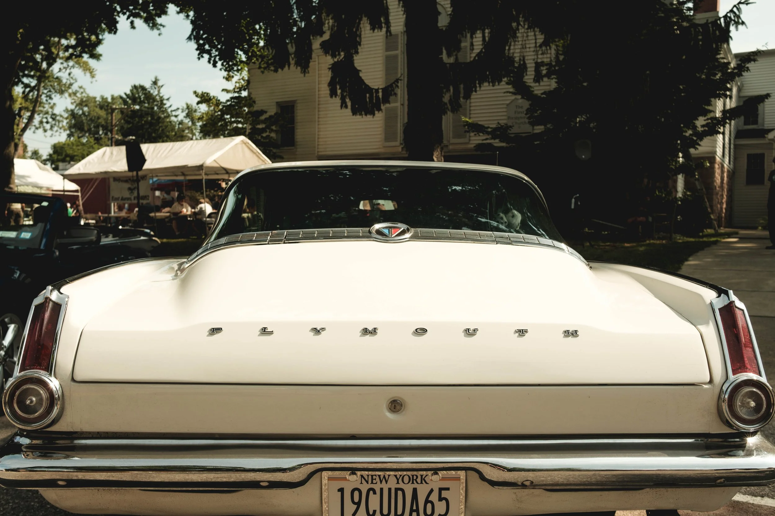DSCF1519.jpg