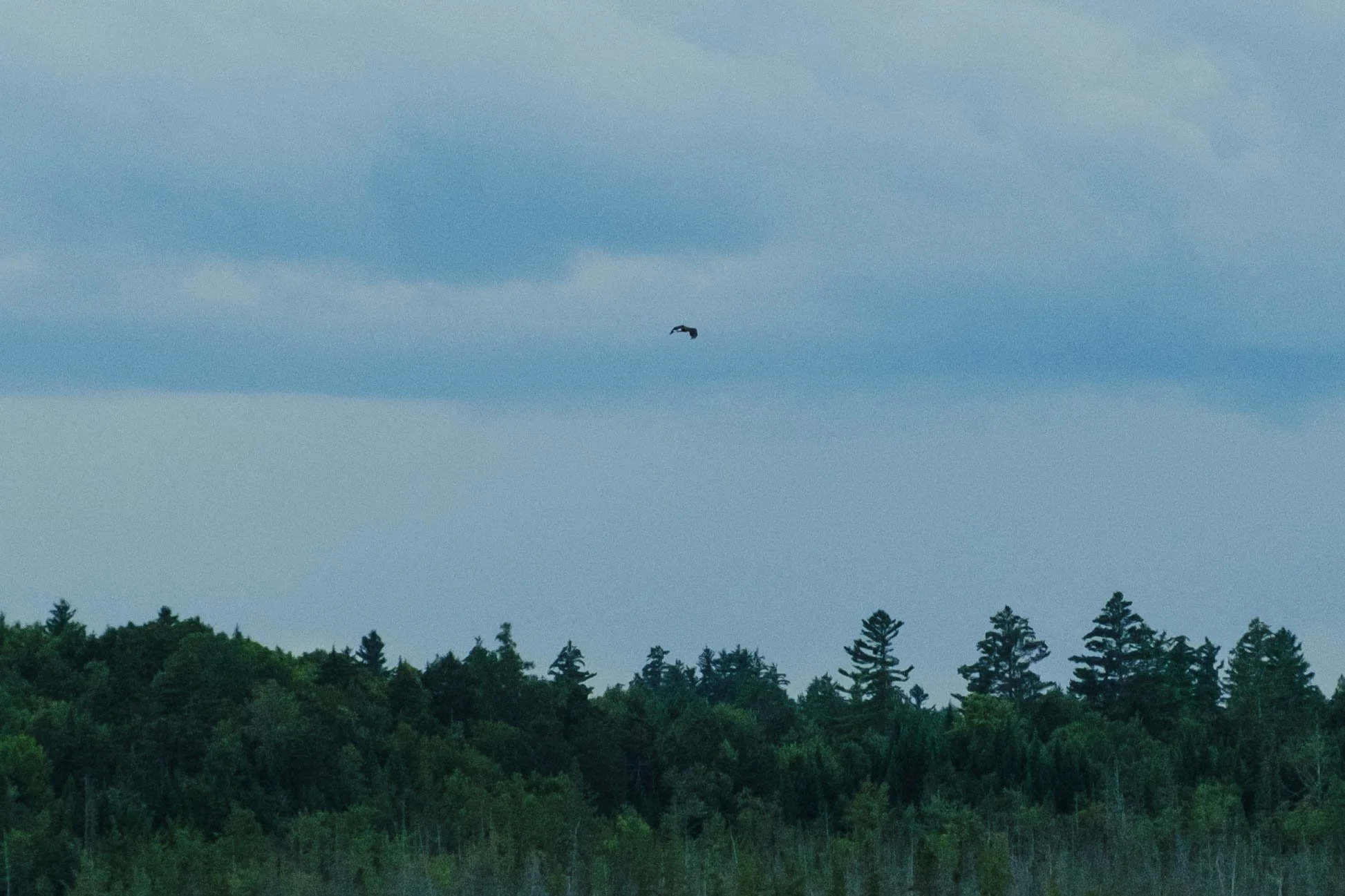 DSCF3191.jpg