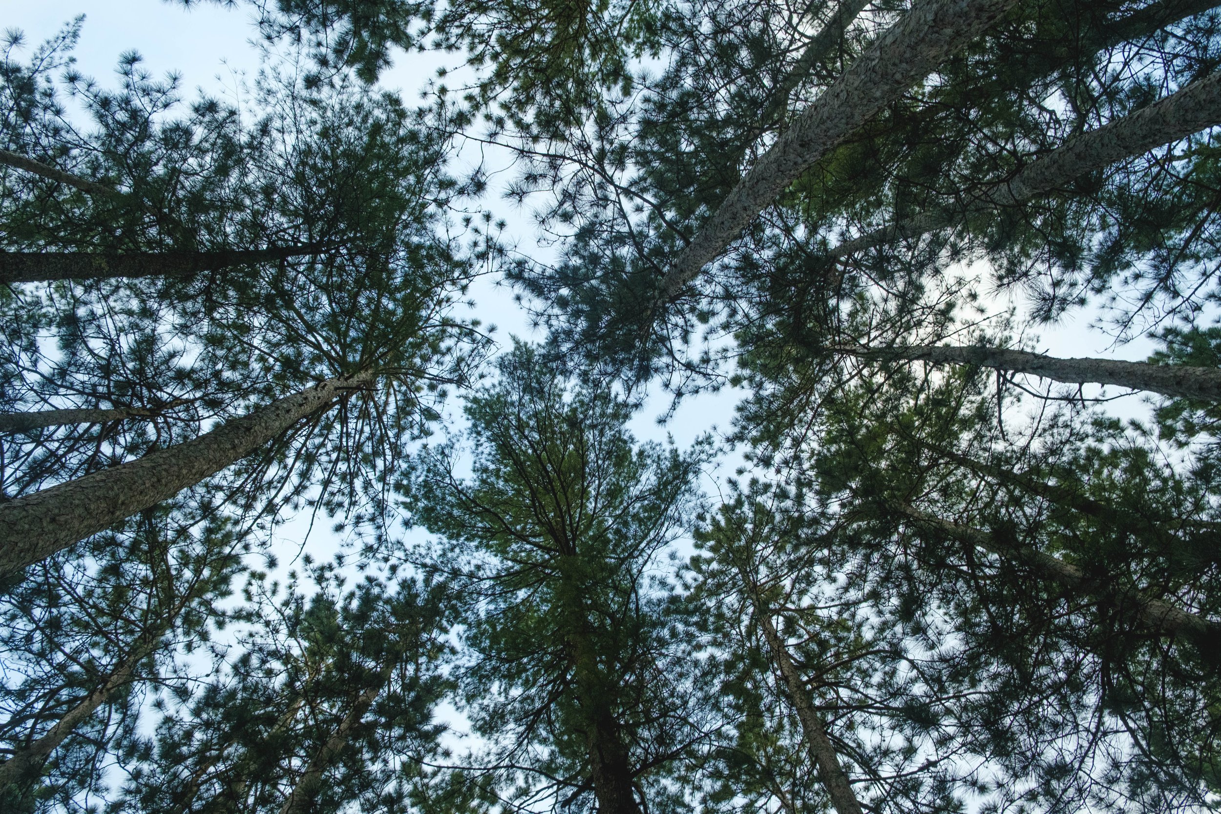 DSCF3200.jpg