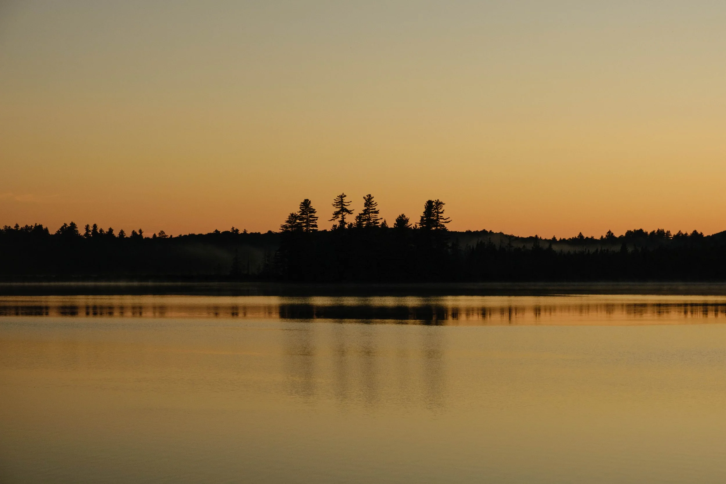 DSCF3303.jpg