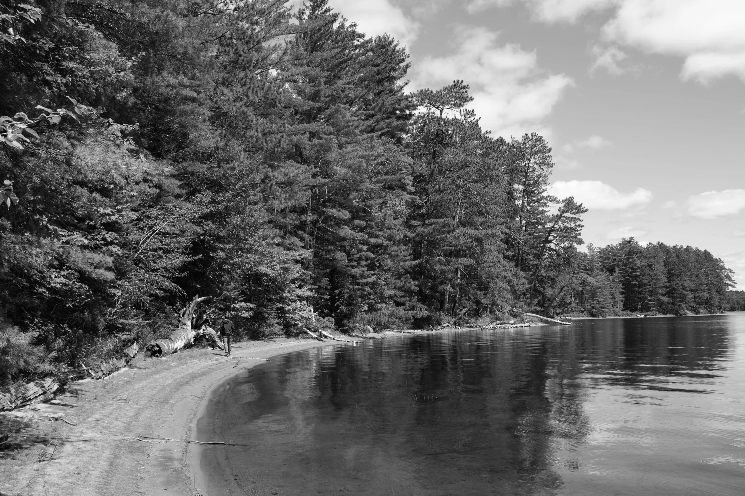 DSCF3326.jpg