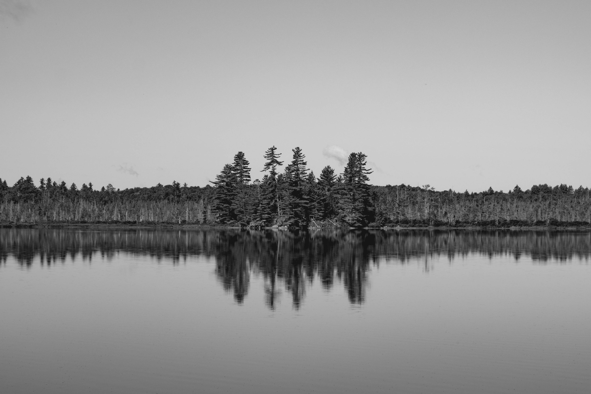 DSCF3252.jpg
