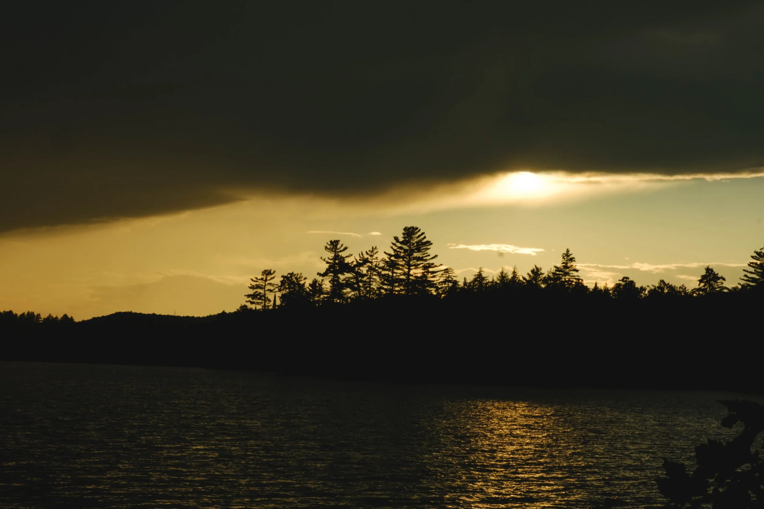 DSCF3210.jpg