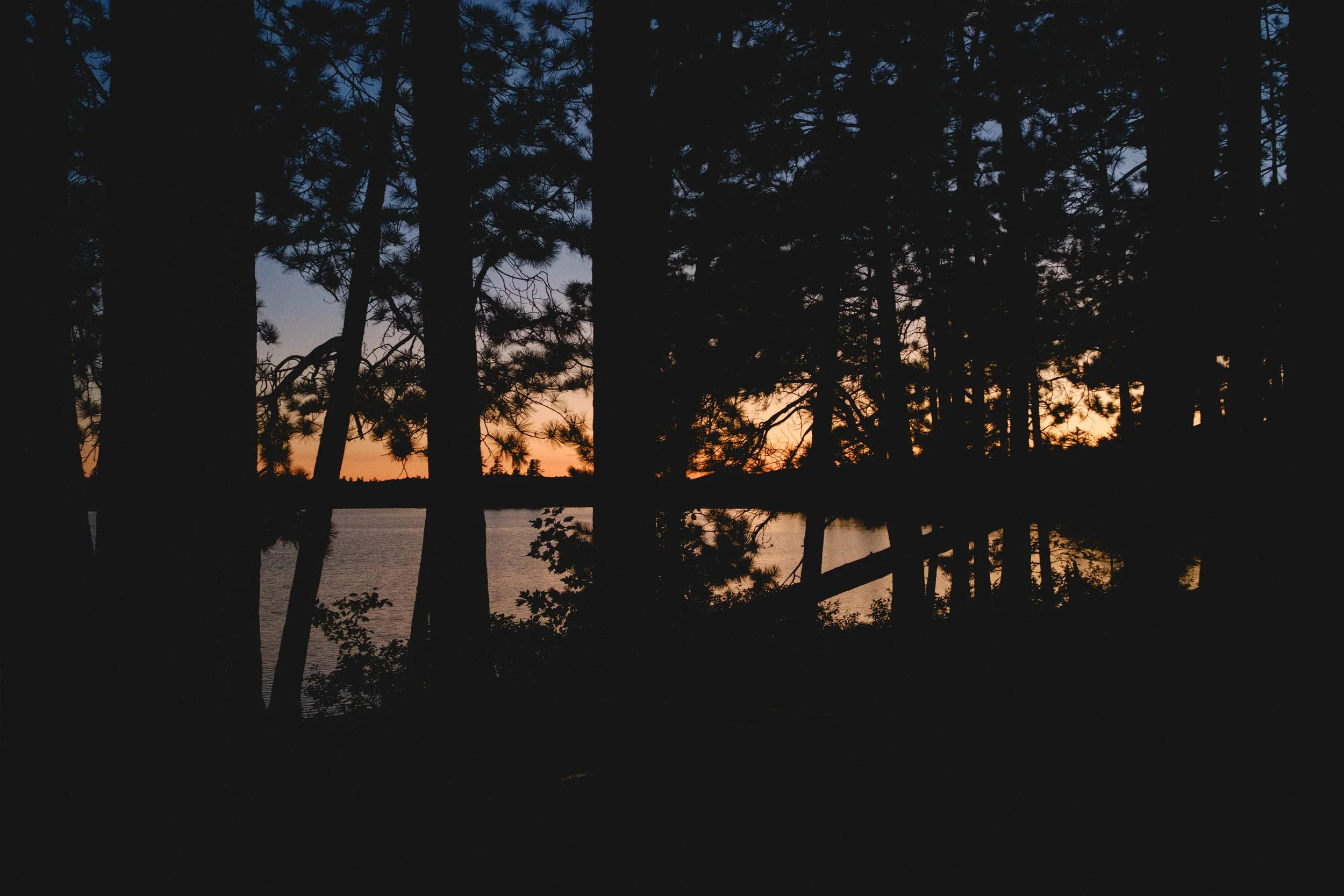 DSCF3339.jpg