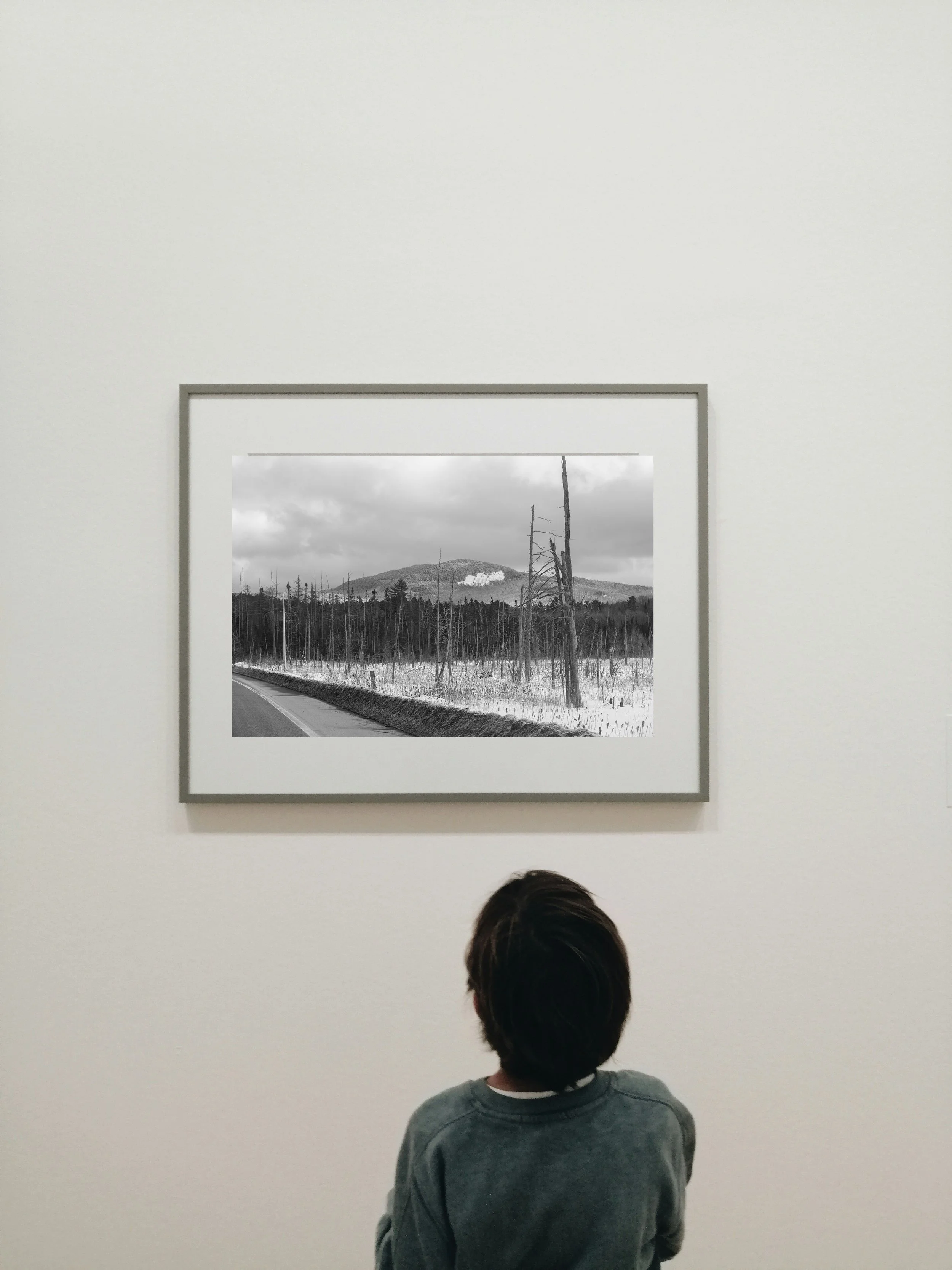 Whiteface winter.jpg