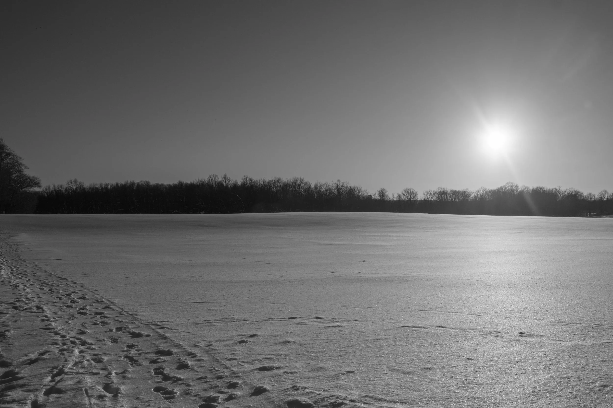 Quiet Winter Surface