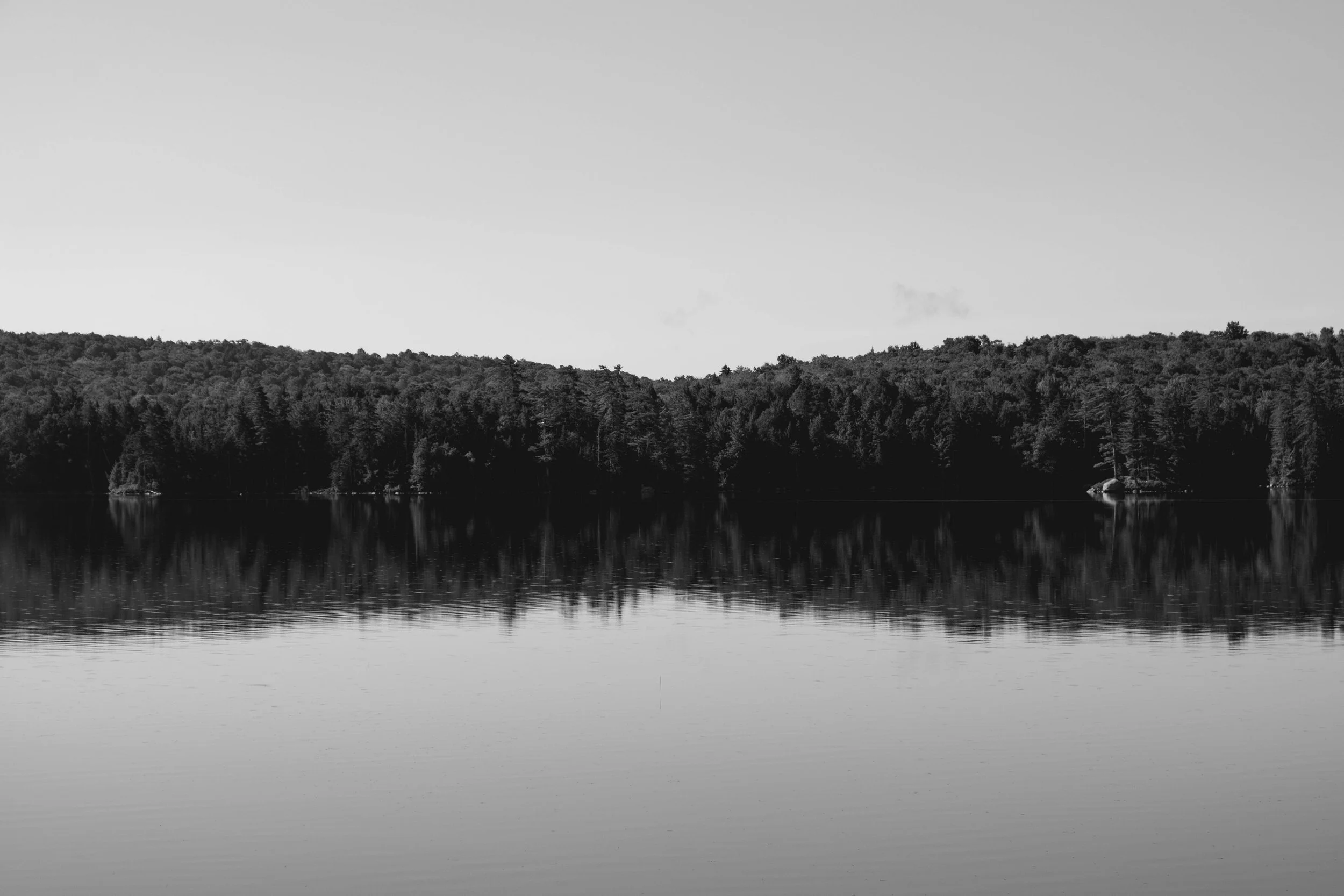 DSCF3251.jpg