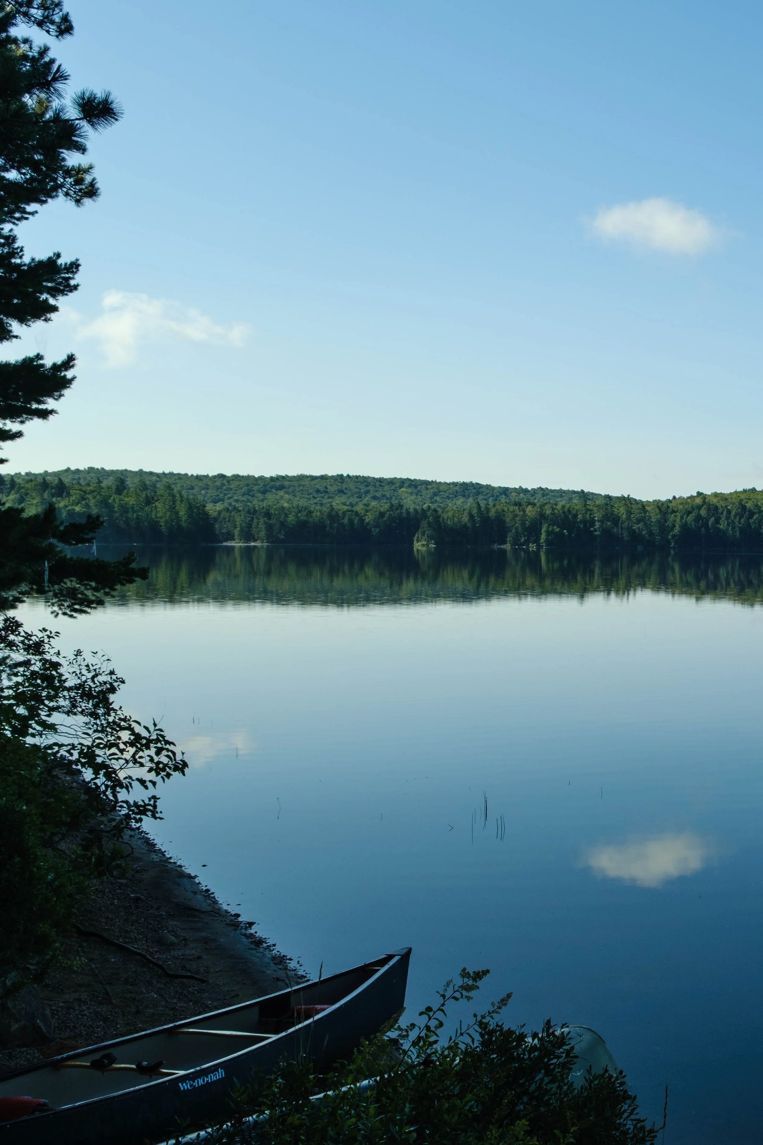 DSCF3250.jpg