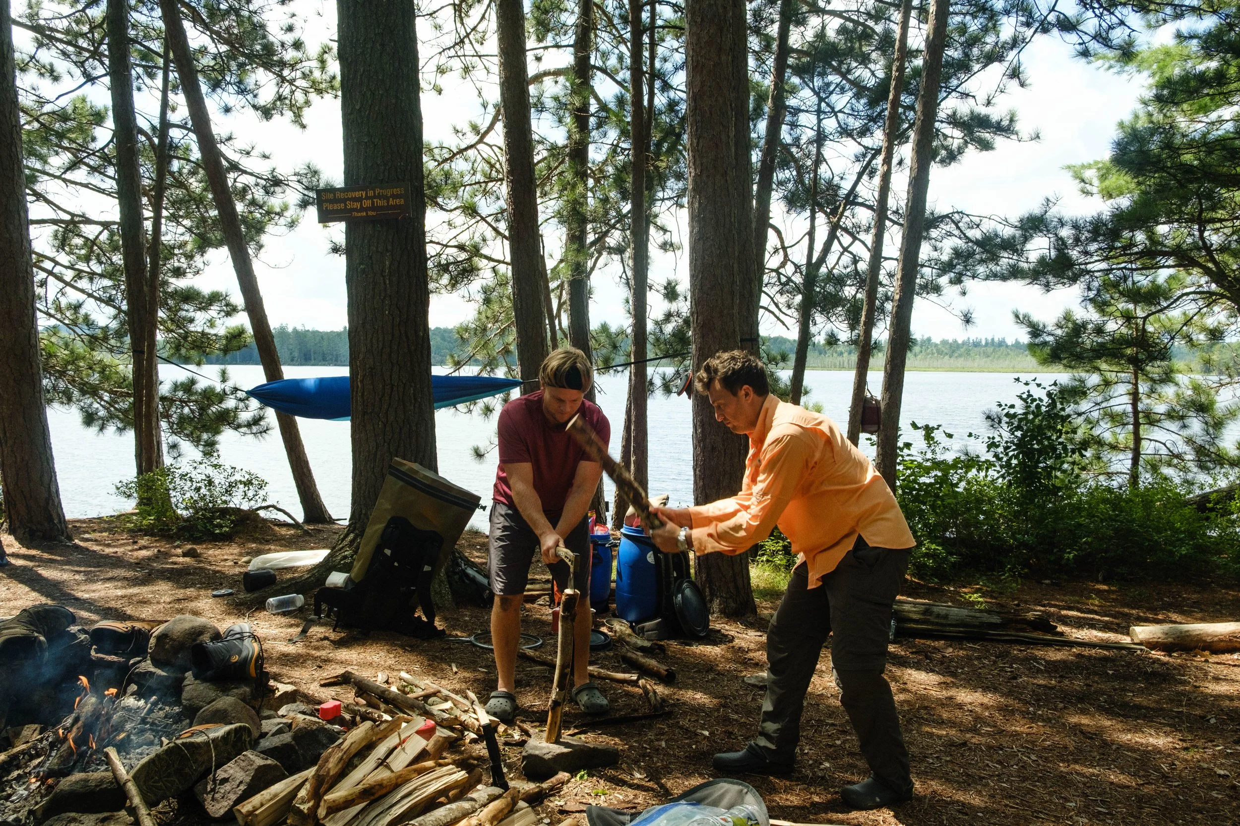 DSCF3179.jpg