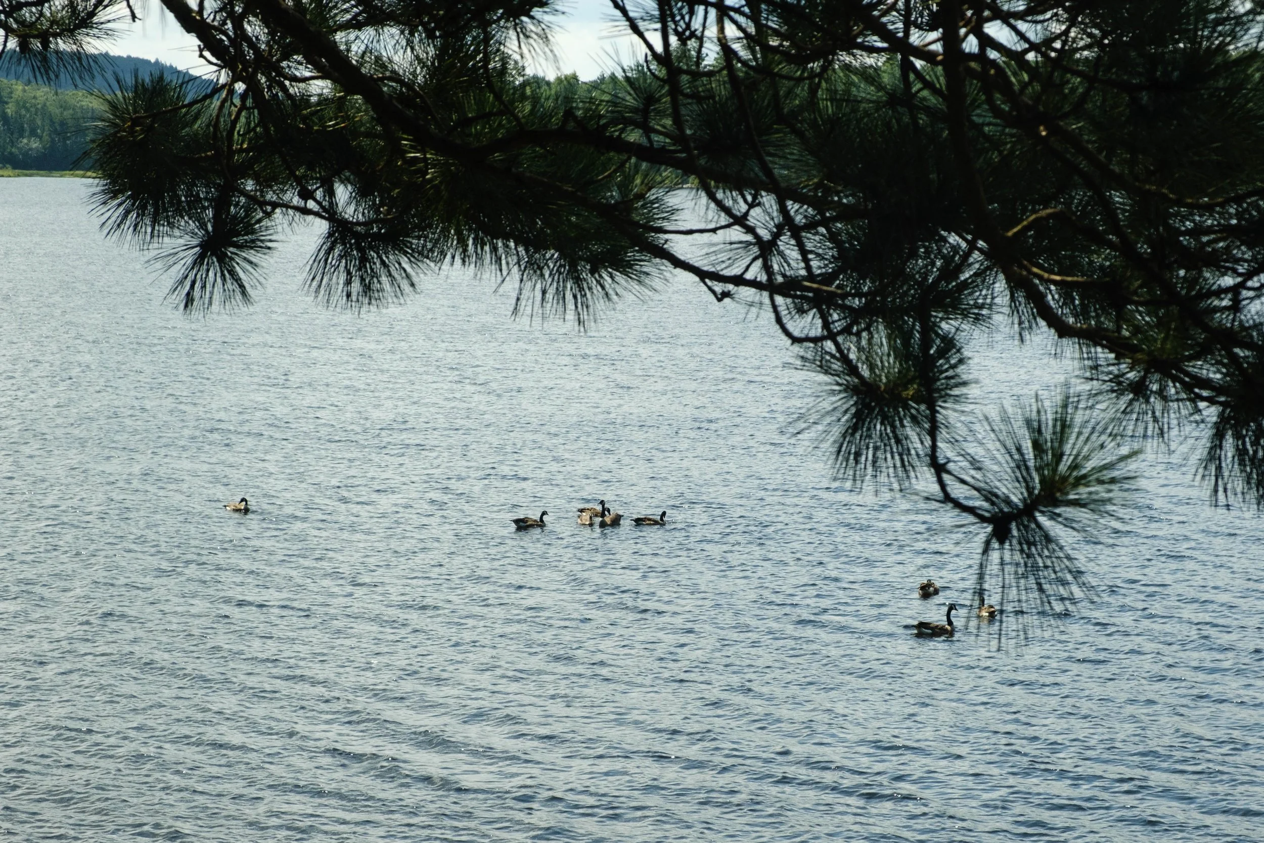 DSCF3176.jpg
