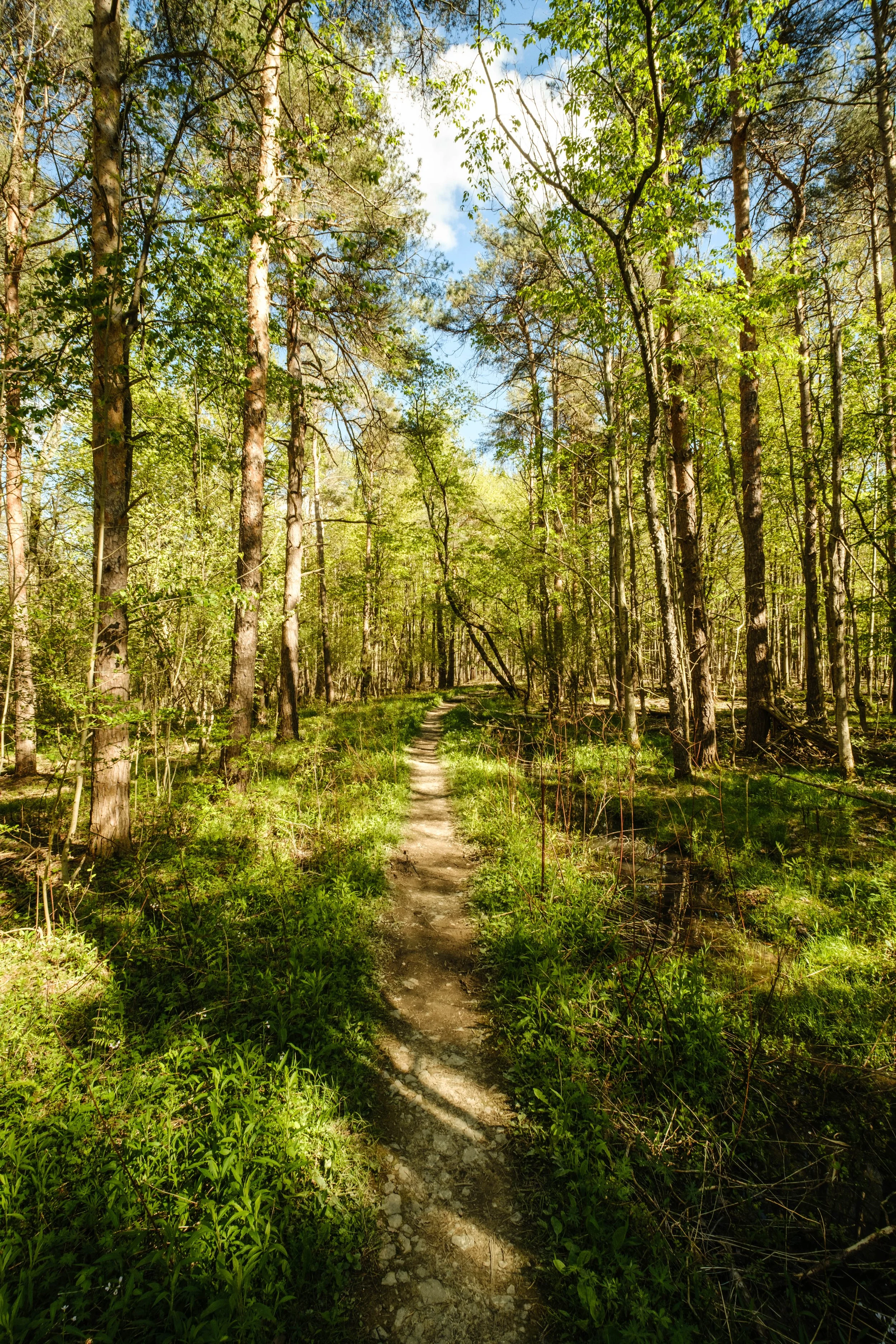 DSCF9483.jpg