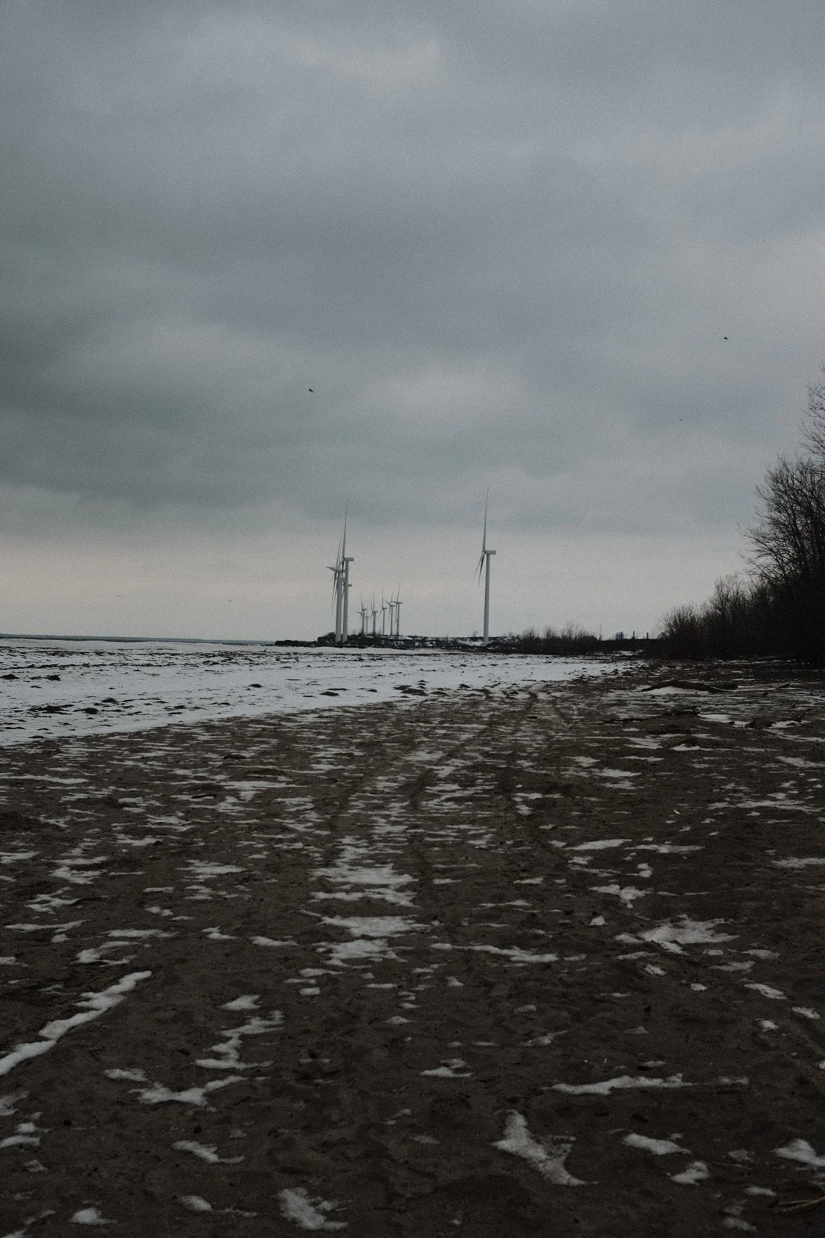 Windmills on the Lake
