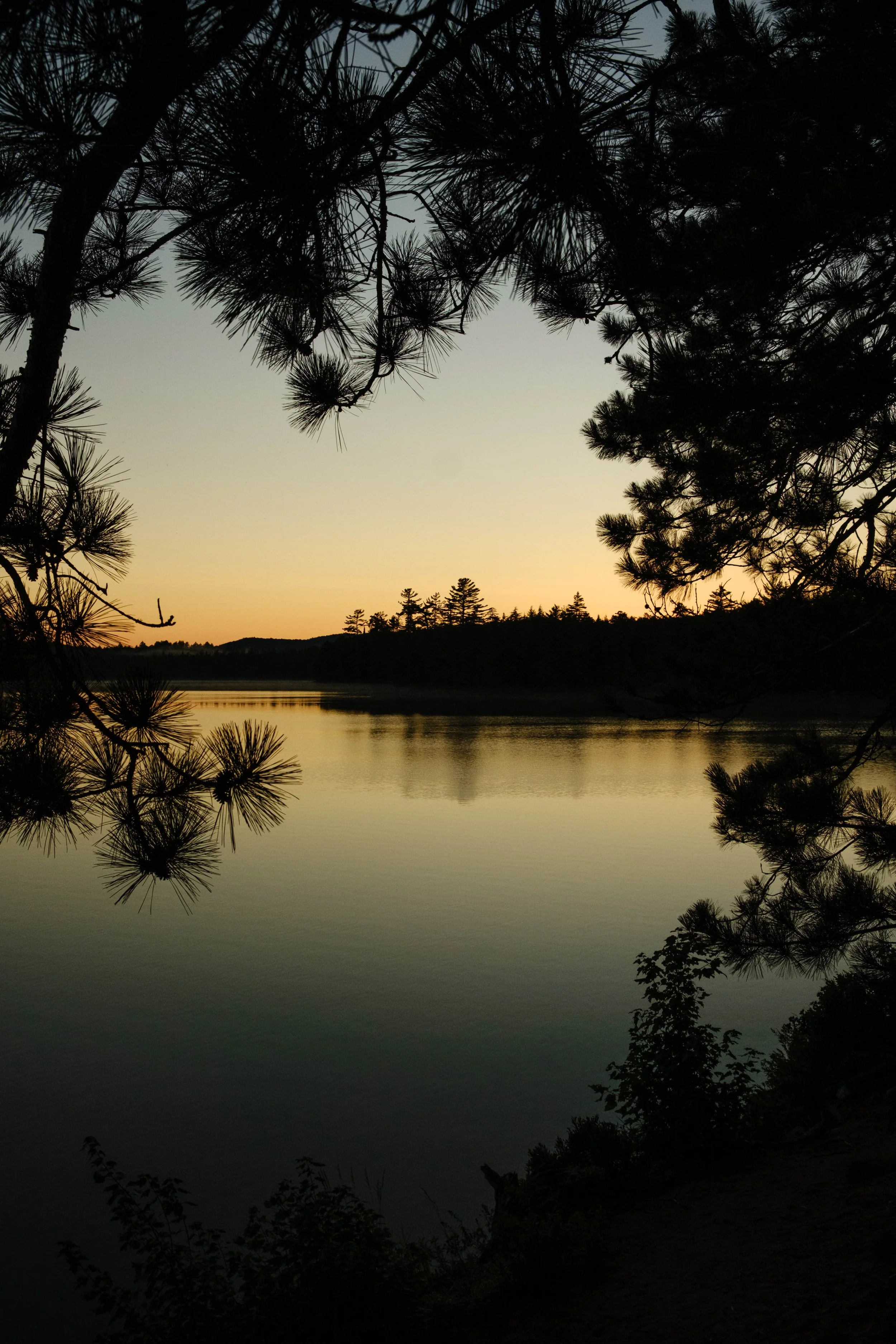 DSCF3299.jpg