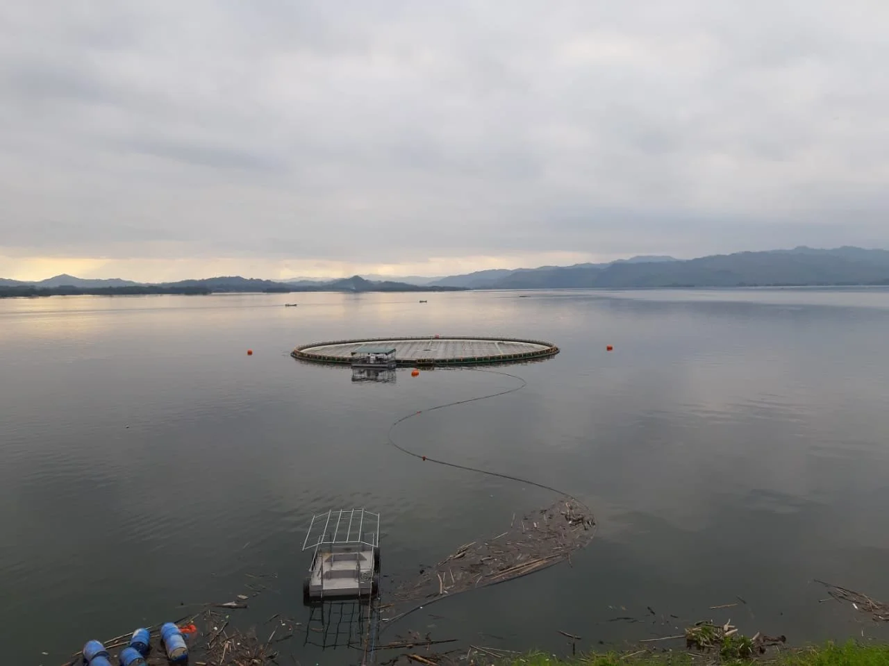 WhatsApp Image 2019-12-21 at 12.02.28 AM.jpeg