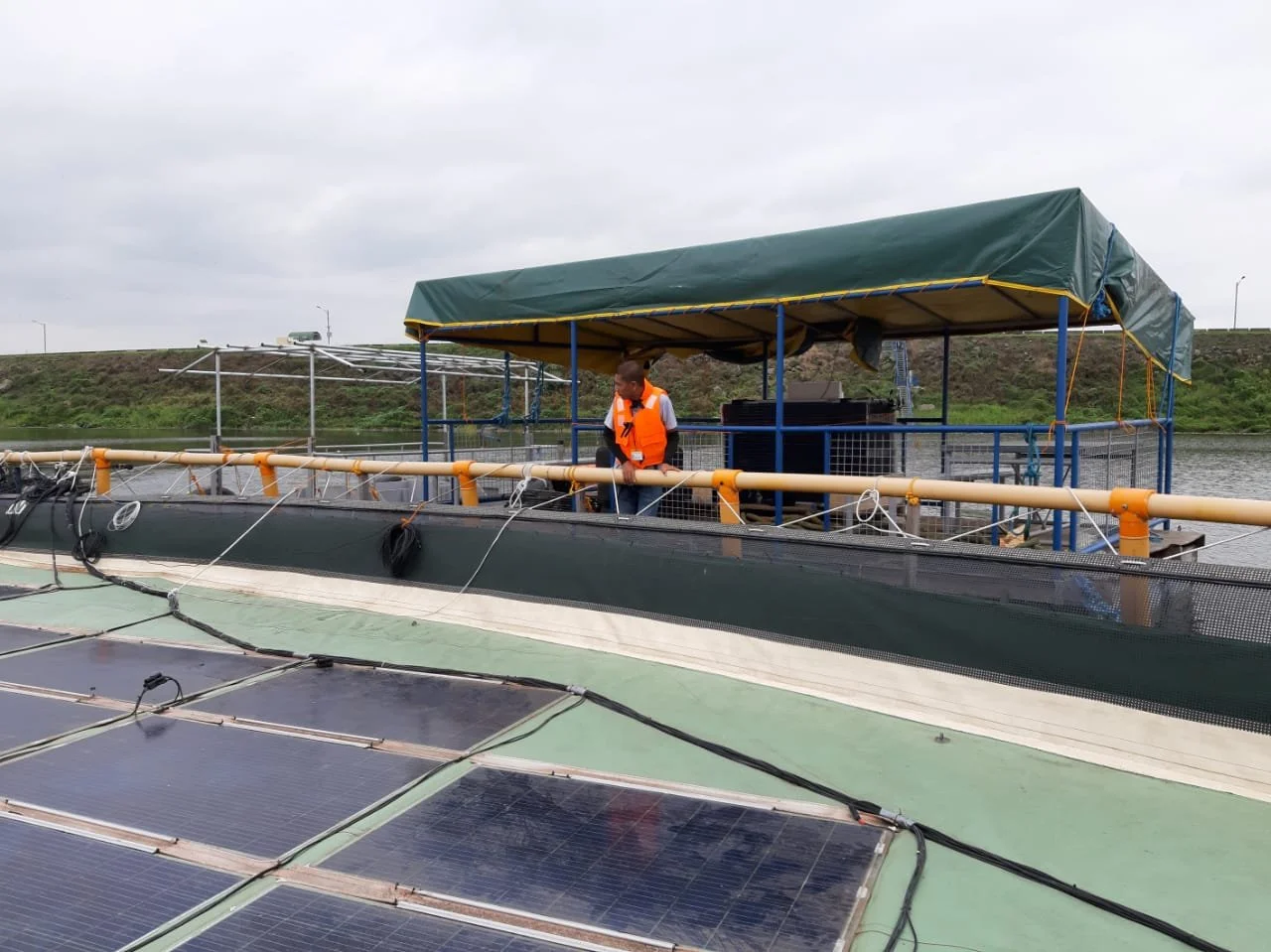 WhatsApp Image 2019-12-21 at 12.02.29 AM.jpeg