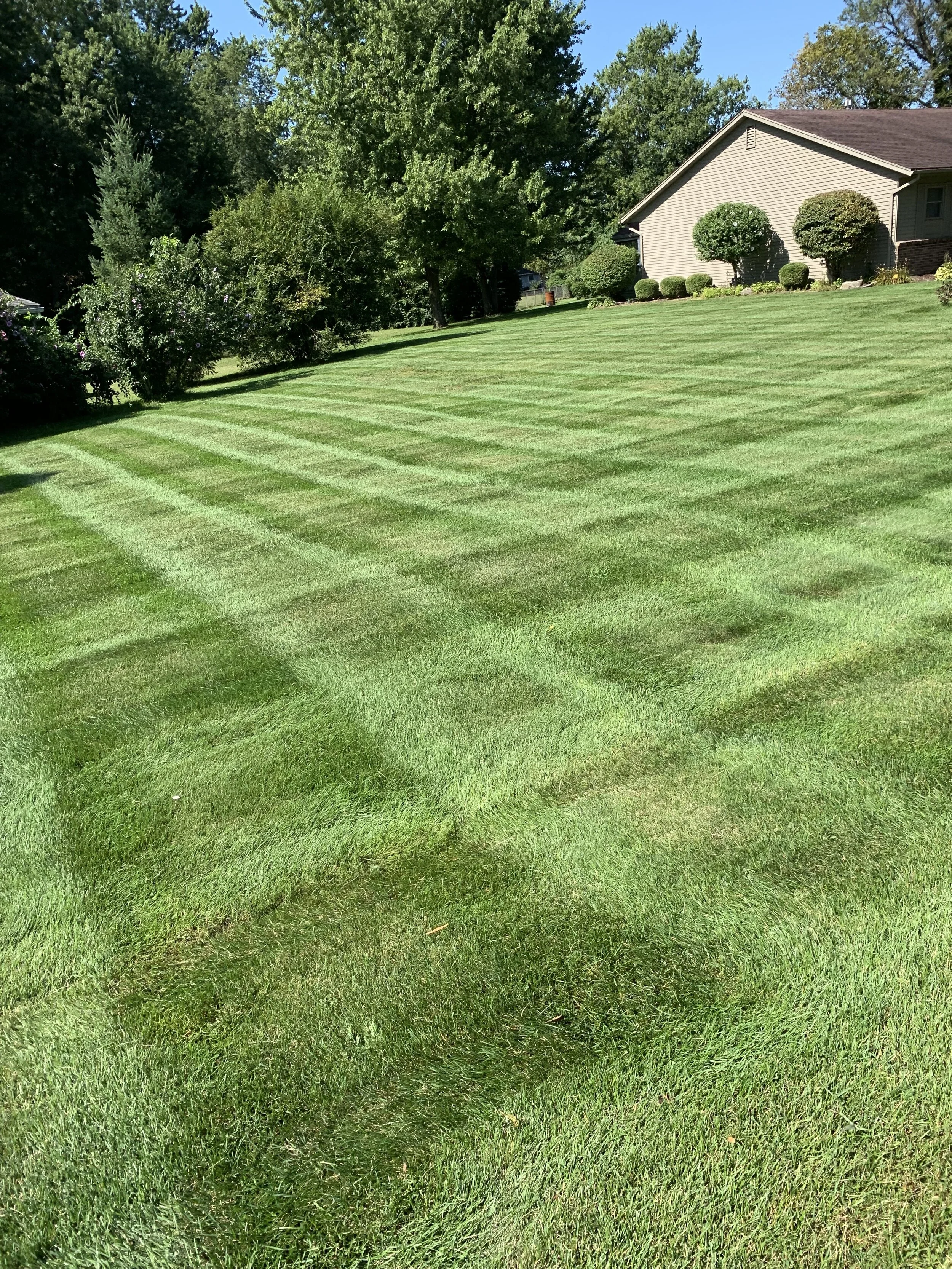 Mowing Sylvania ohio.jpg