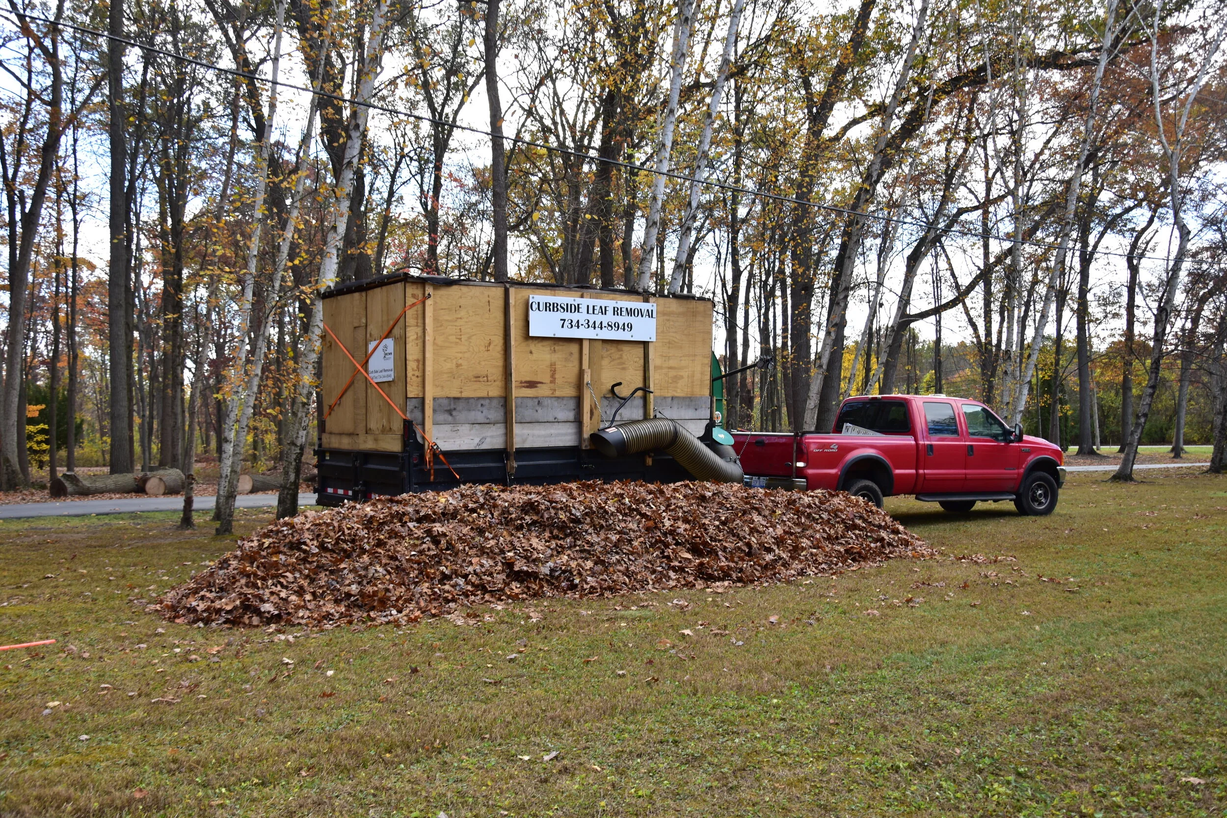 Leaf Removal Lambertville Temperance.JPG