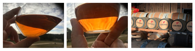 Untitled design-2.png