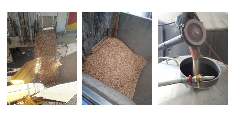 Untitled design-3.png