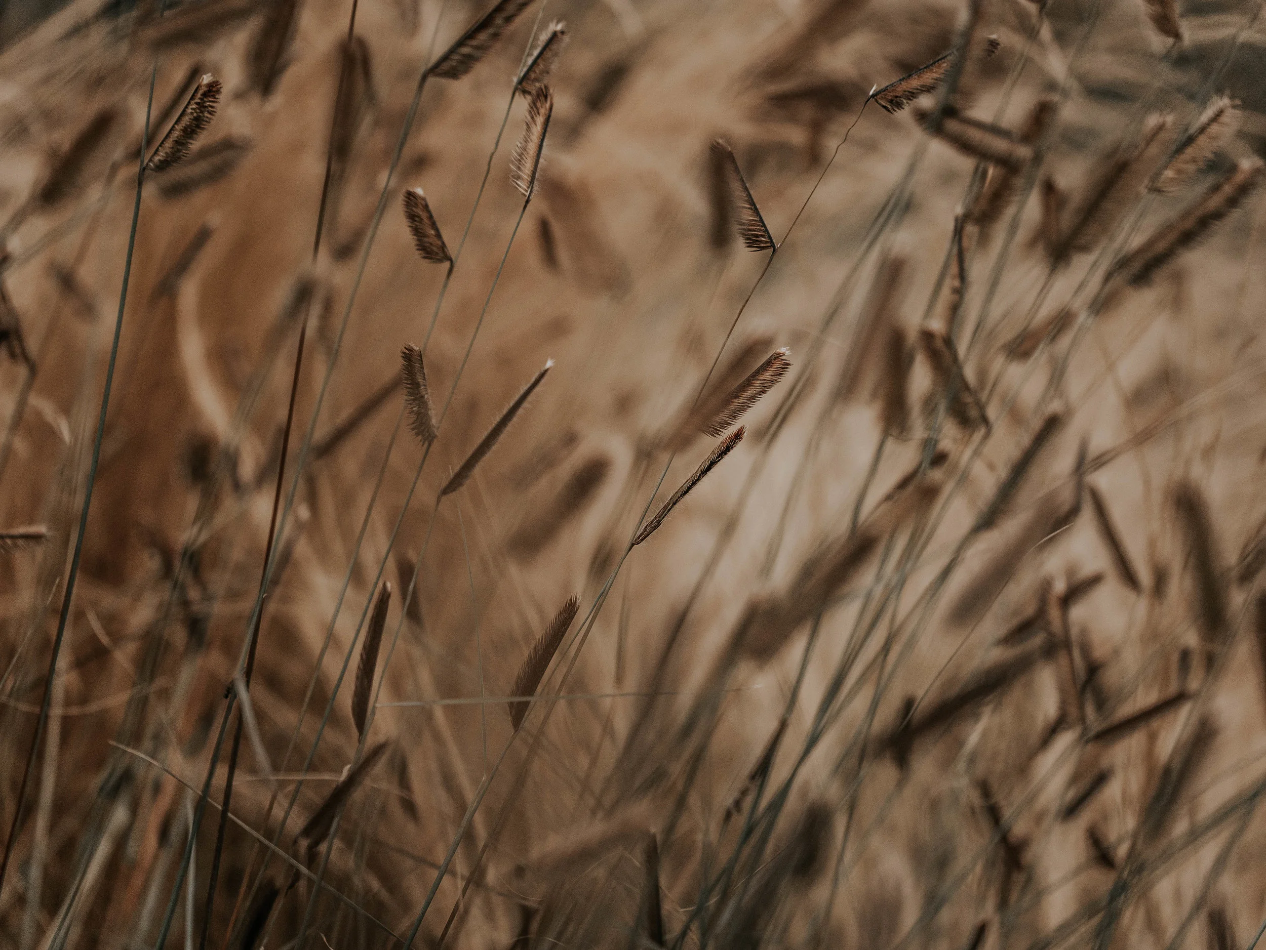 Keys to Living Your Authentic Life