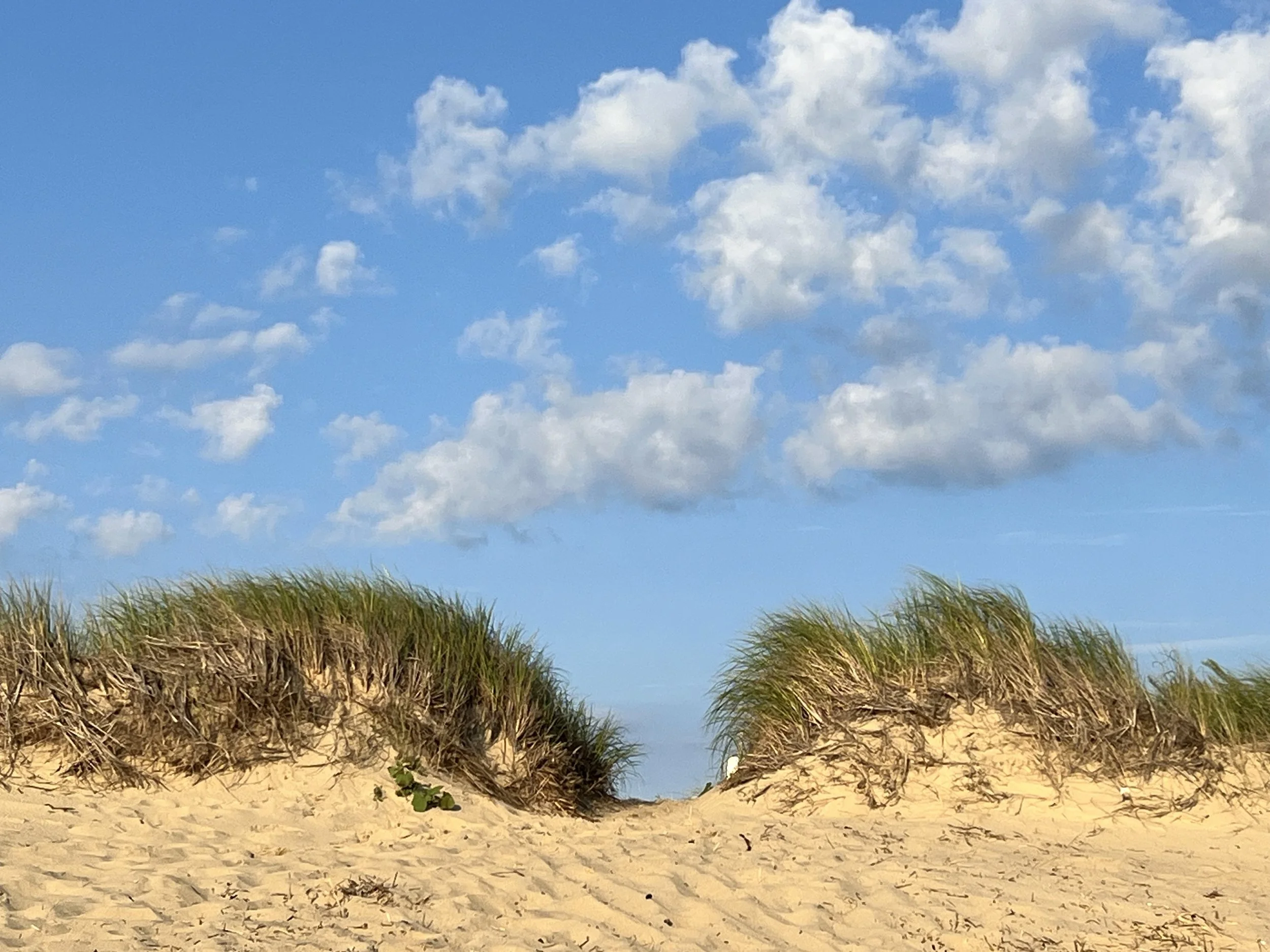 Cultivating Creativity