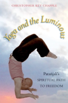 Yoga and the Luminous