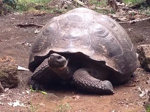 Galapagos Islands - Day 6!