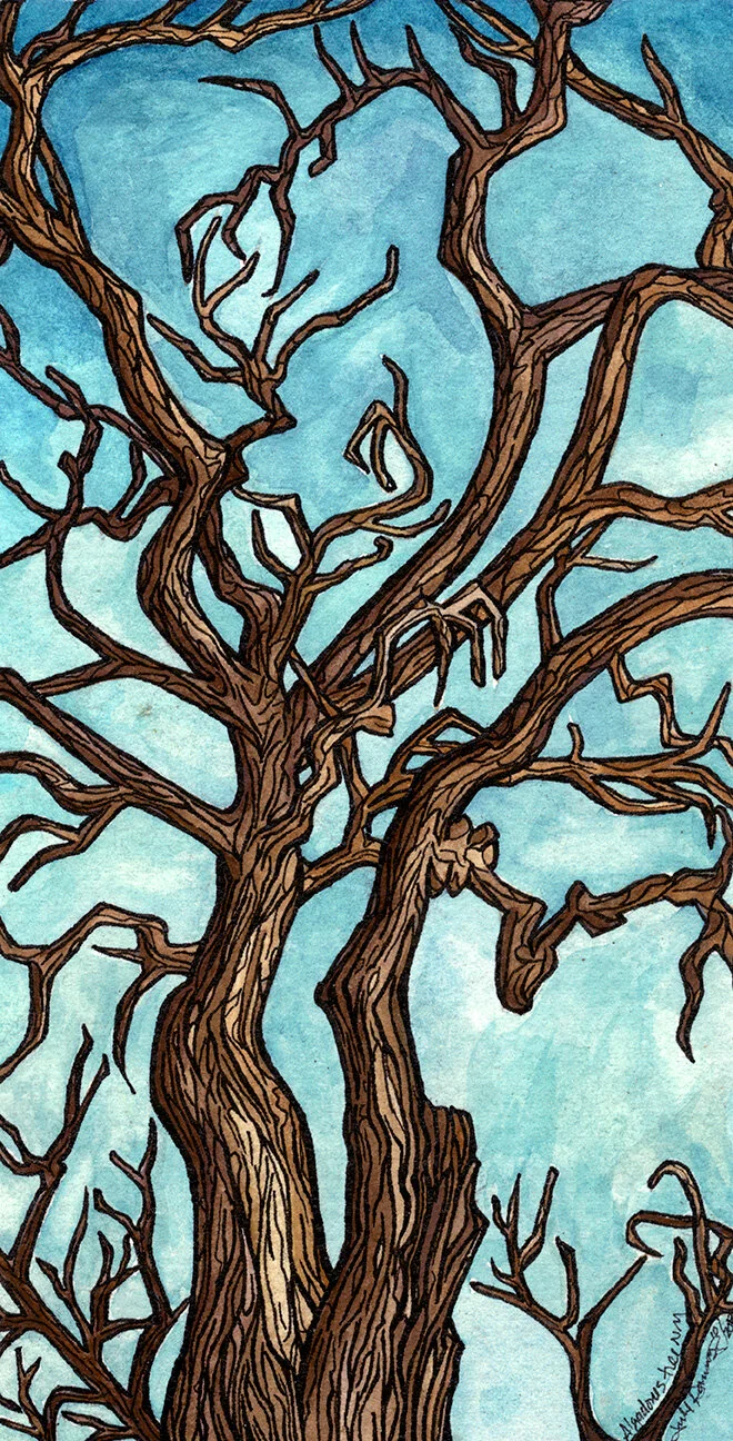 Algadones Tree  (5 2/8" X 8 1/2")