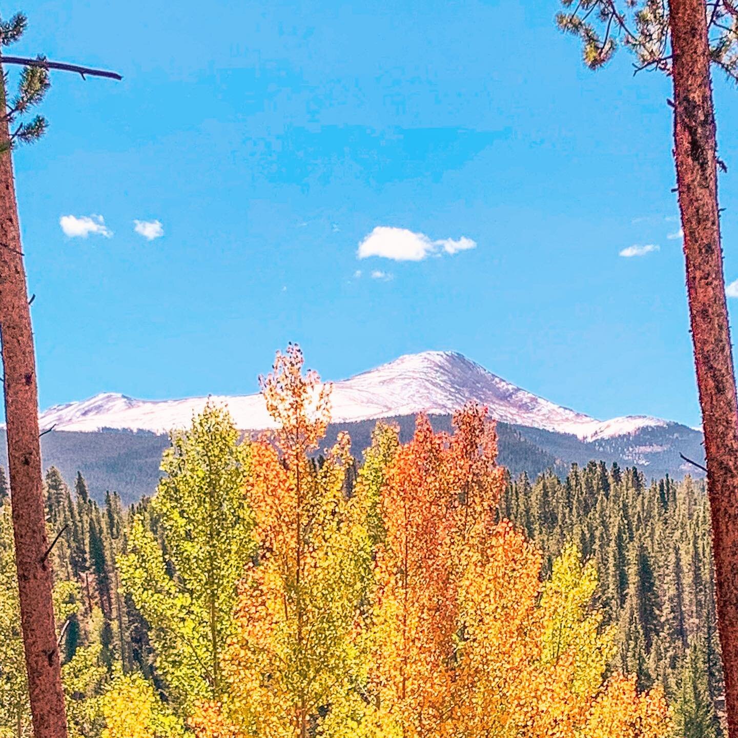 We are absolutely loving spending our time here in Colorado! 😁
It&rsquo;s just so awesome to be able to walk out the door and take the dogs for a hike on my lunch break! 💗
This view is along my daily hike and if you swipe you can see the difference