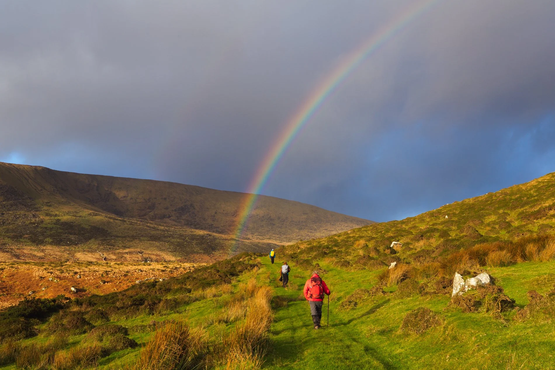The-Dingle-Way-Lispole-1.jpg