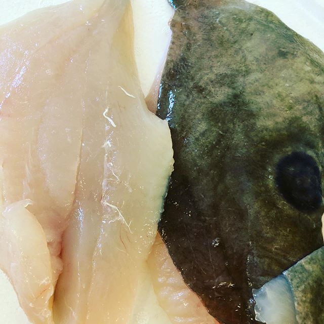 Beautiful John Dory Fillet&rsquo;s from Port Nelson. One of the best eating fish in the sea. #festivalfish