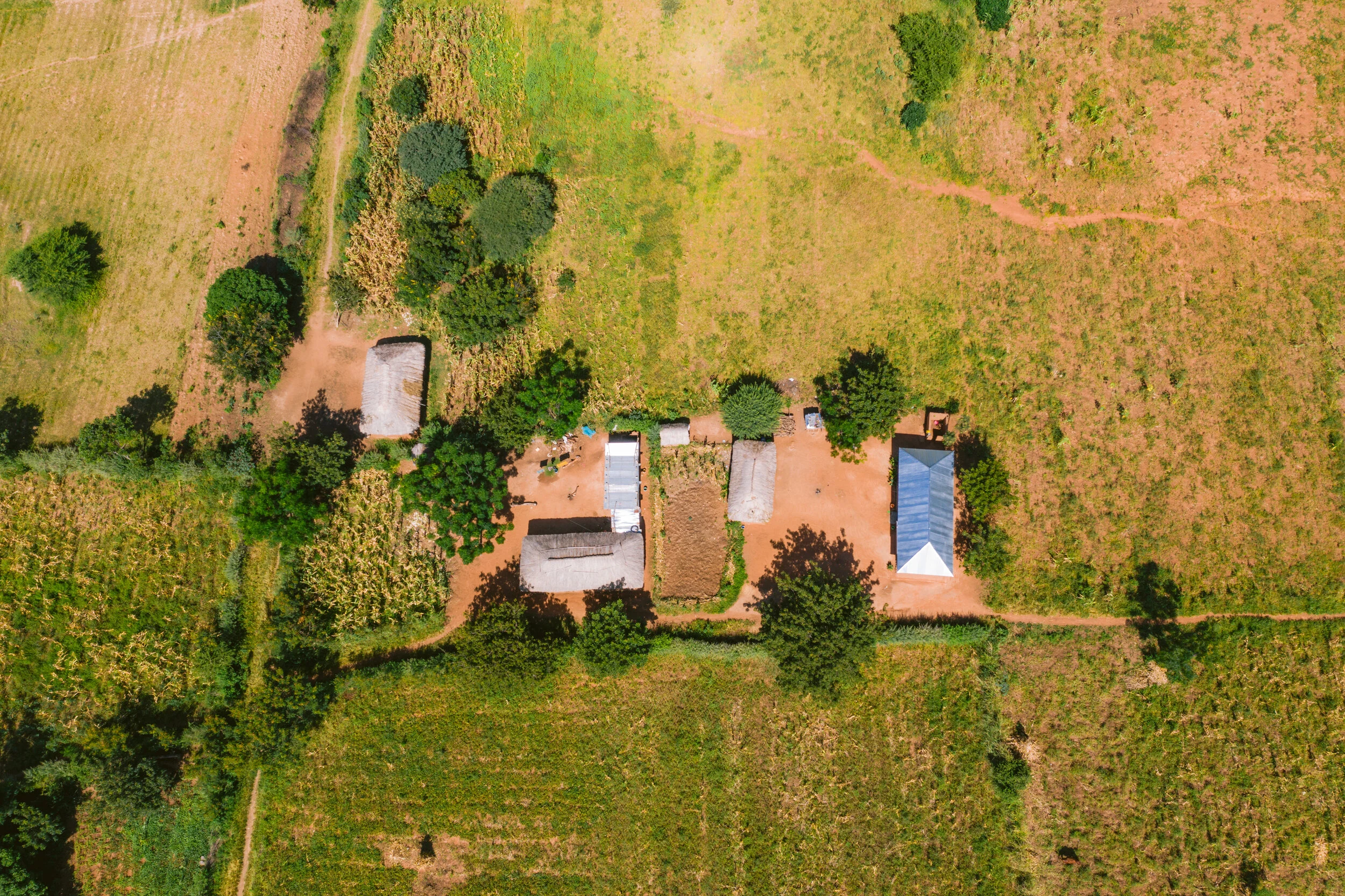 DJI_0307.jpg