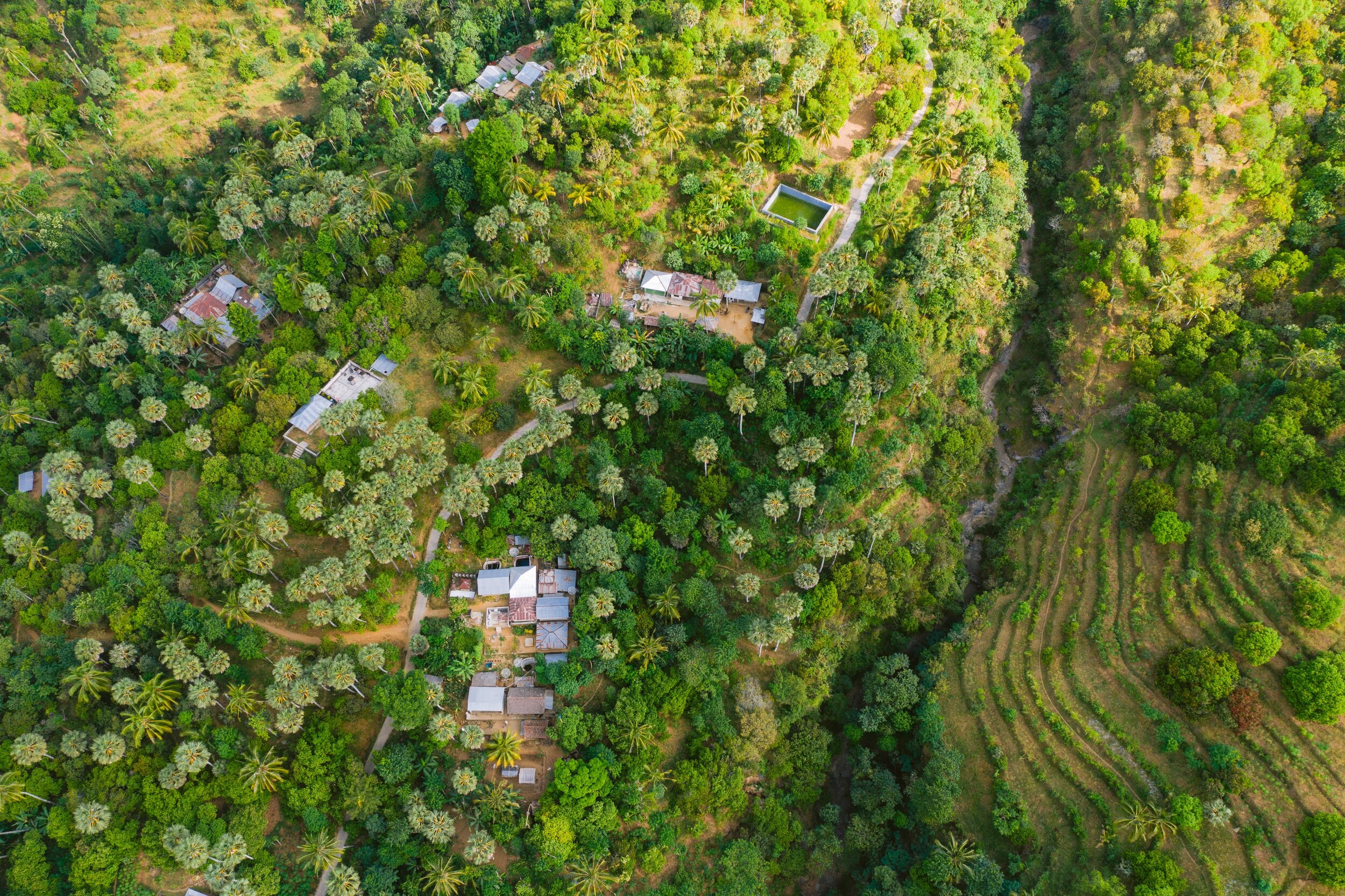 DJI_0483.jpg