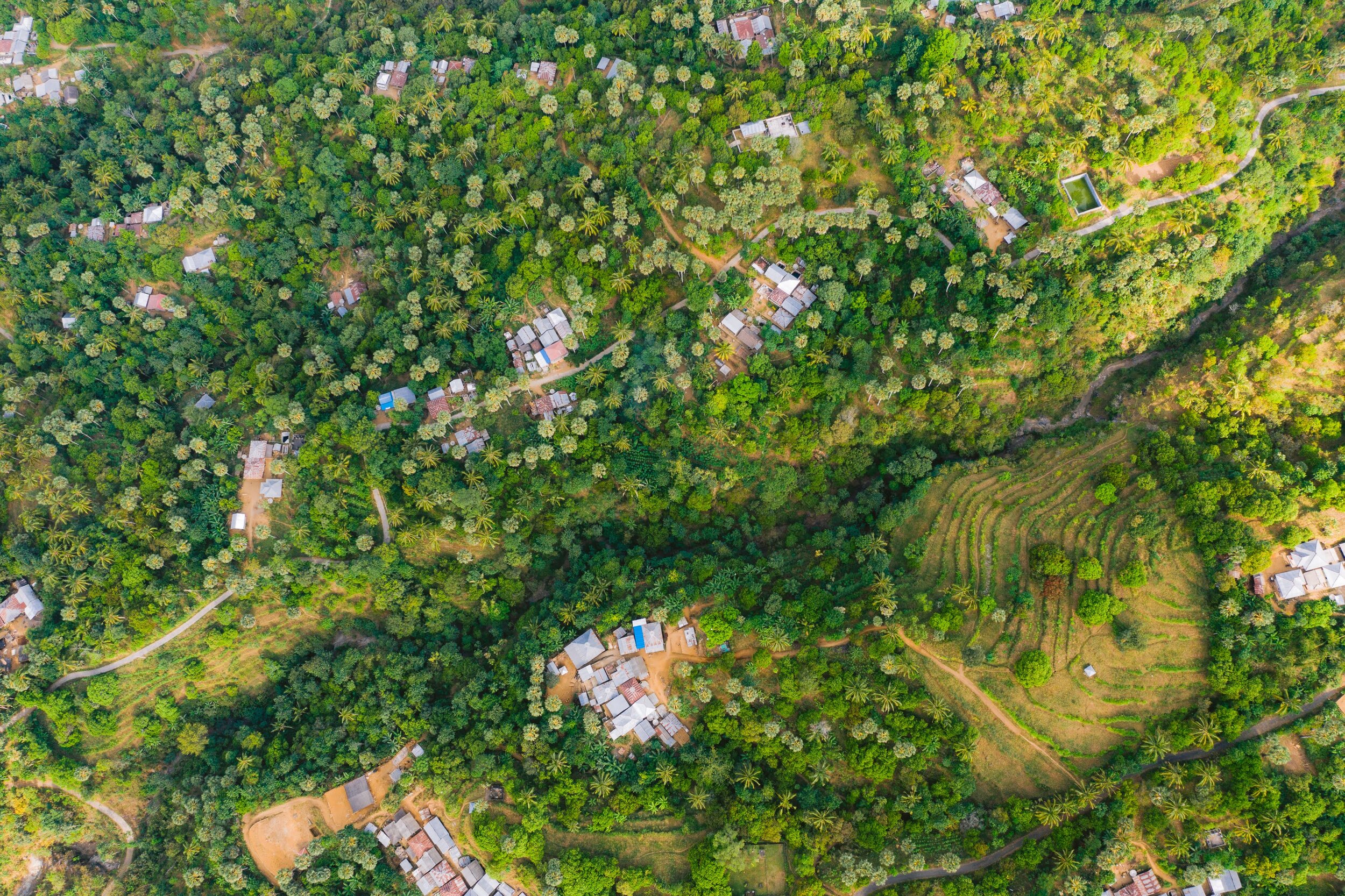 DJI_0485.jpg