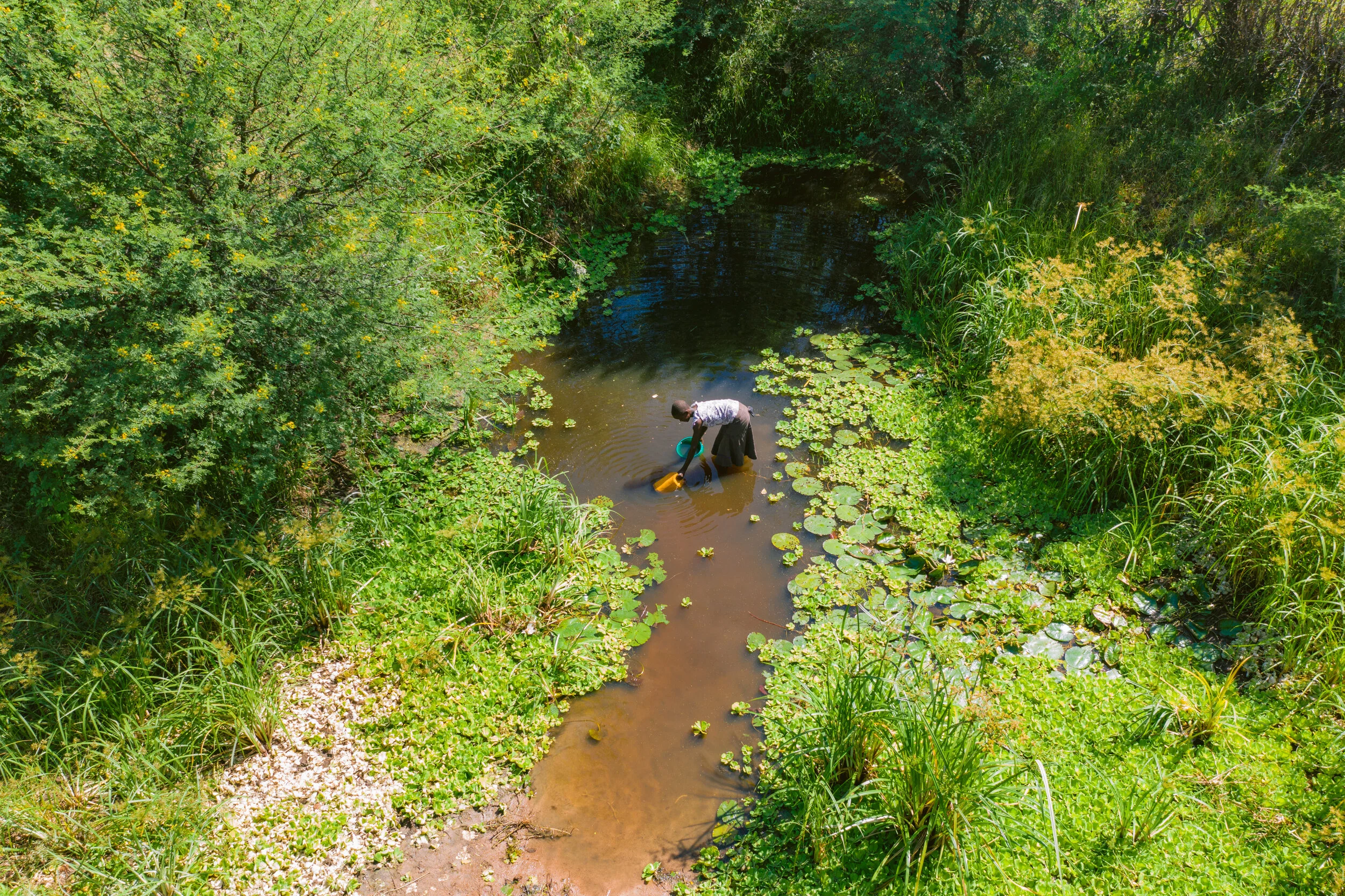 DJI_0309.jpg