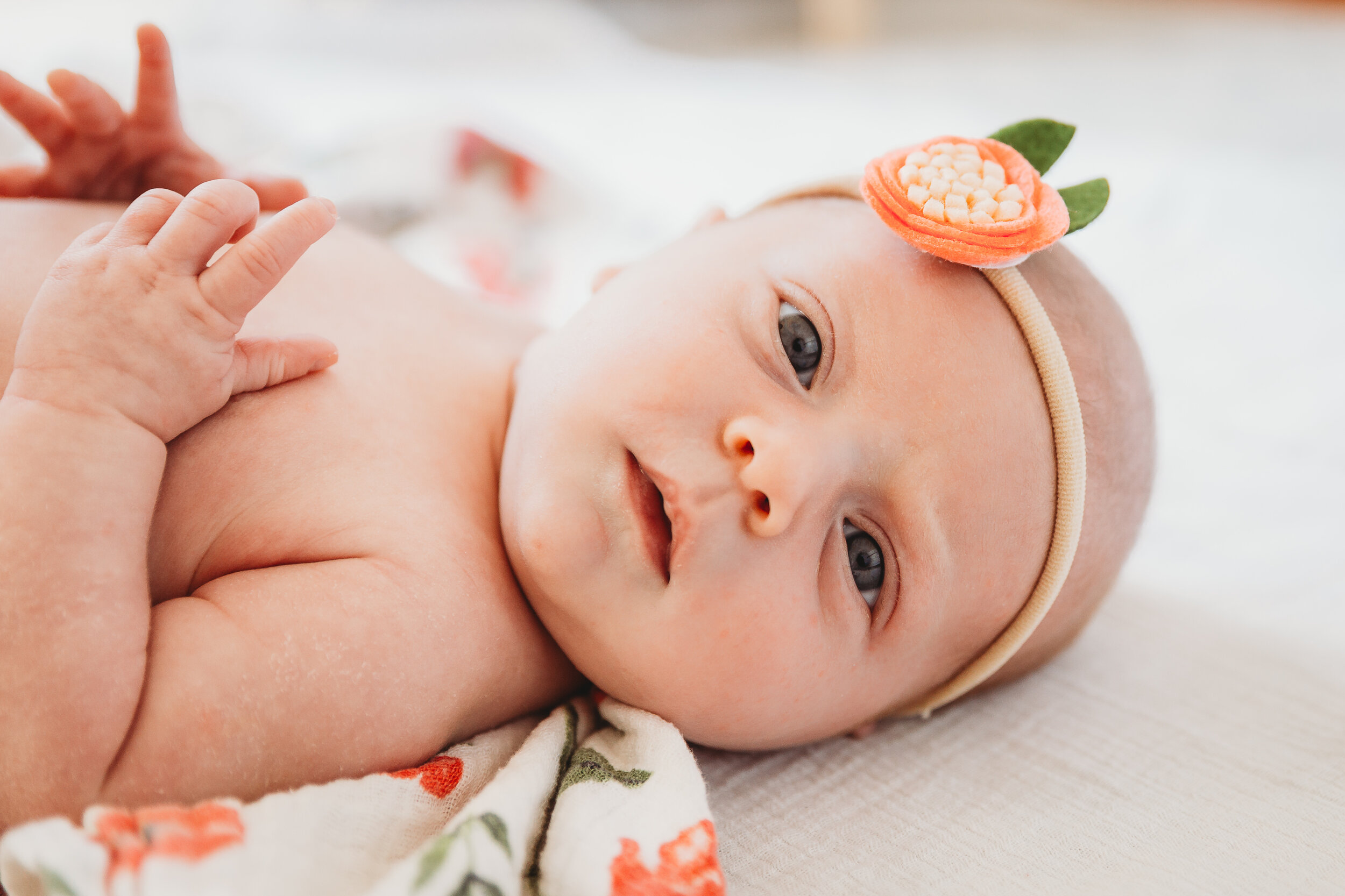 Baby Olivia-28.jpg