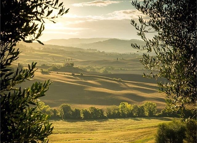 &ldquo;... the enjoyment of scenery employs the mind without fatigue and yet exercises it, tranquilizes it and enlivens it: and thus, through the influence of the mind over the body, gives the effect of refreshing rest and reinvigoration to the whole