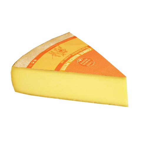 Comte Harmonie 12 months