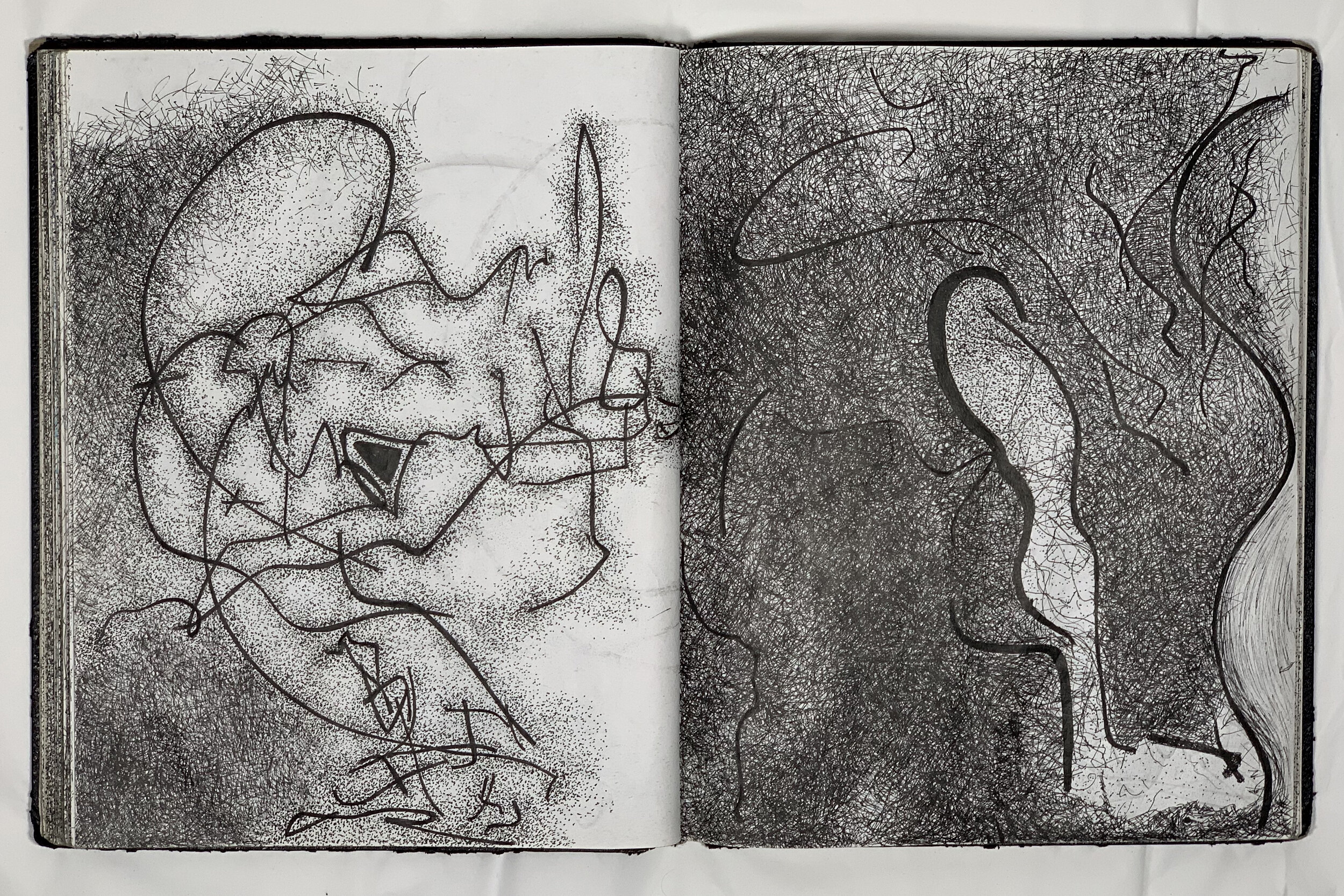 Drawing Book pages 48-49