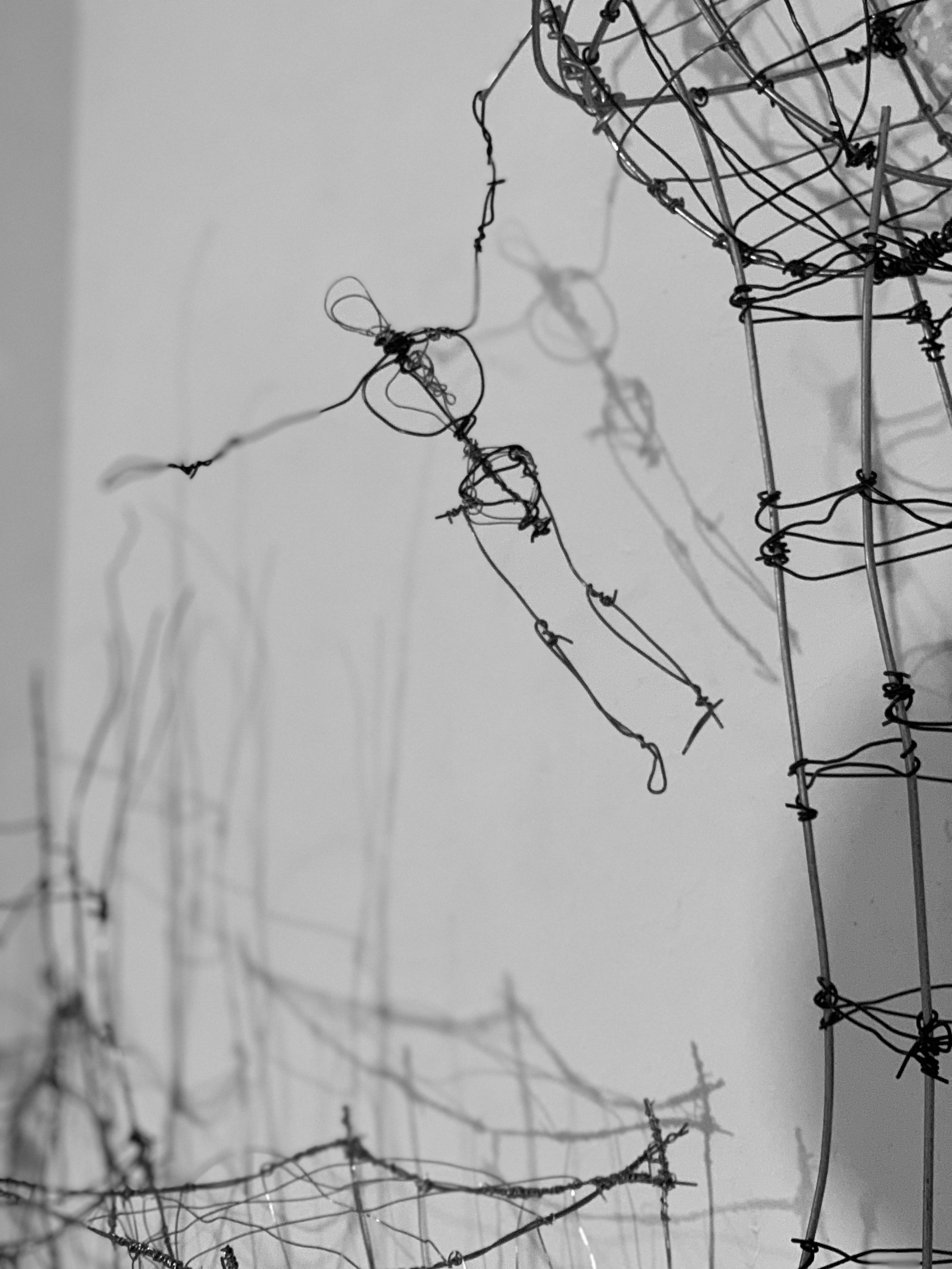 D3069DED-8A9B-4853-A147-B695B480114D_1_201_a.jpeg