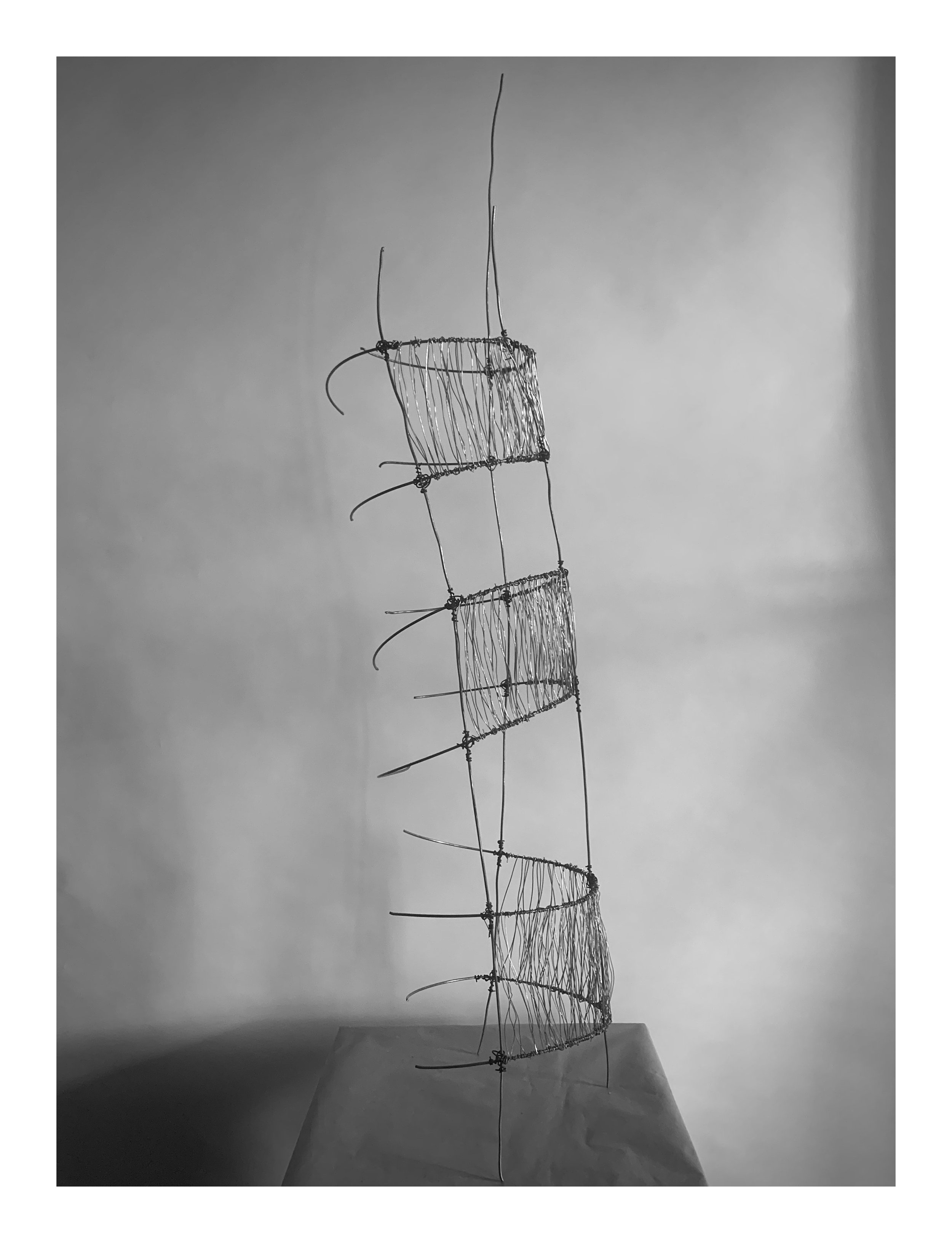 AFF69C18-069D-4780-9CFB-DF1C6E774A0A_1_201_a.jpeg